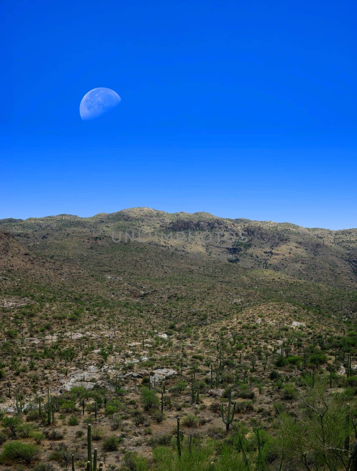 Desert moon over the southwestern USA desert and mountains