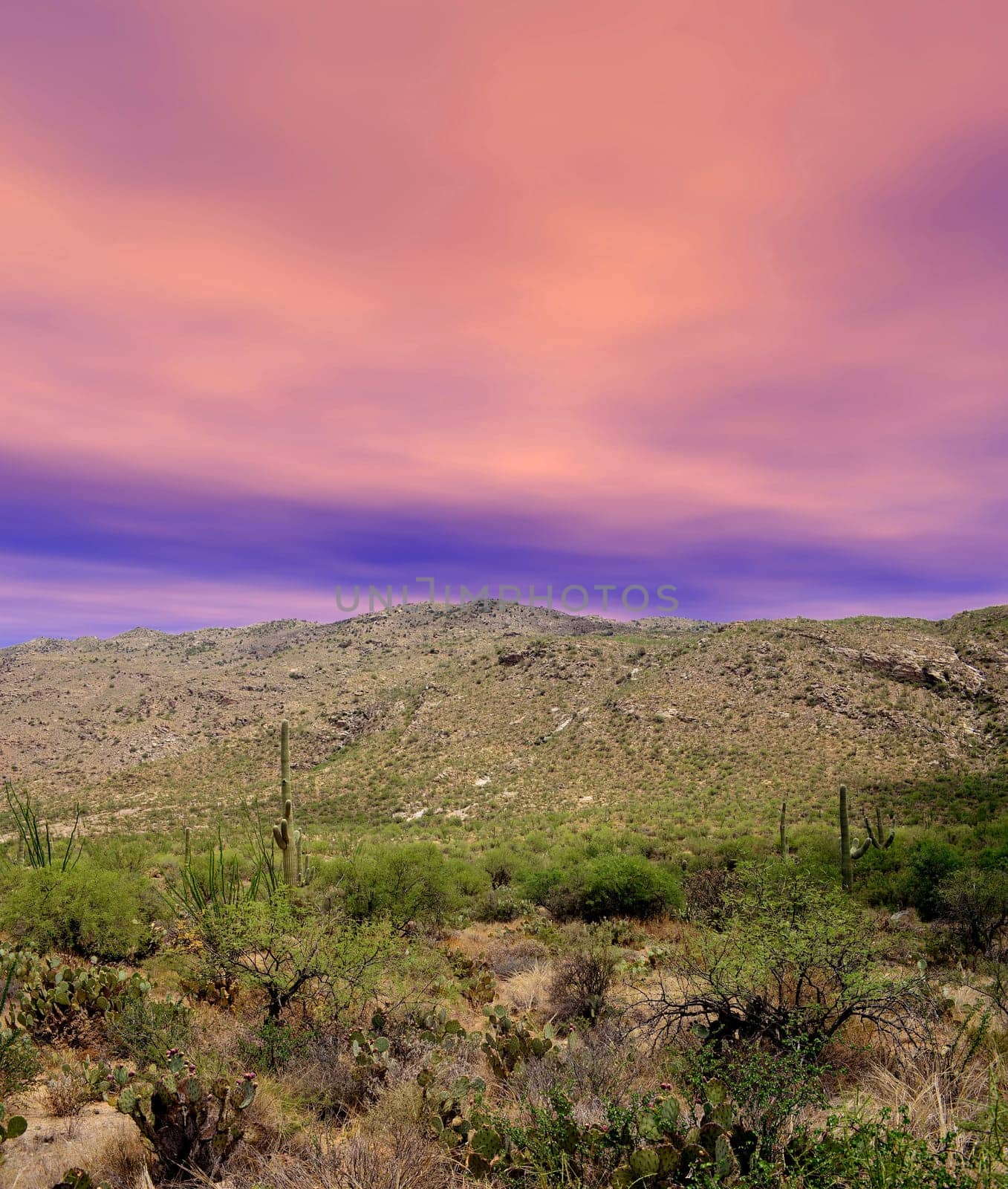 Sunset and boulder chain in the Sonora desert in central Arizona USA