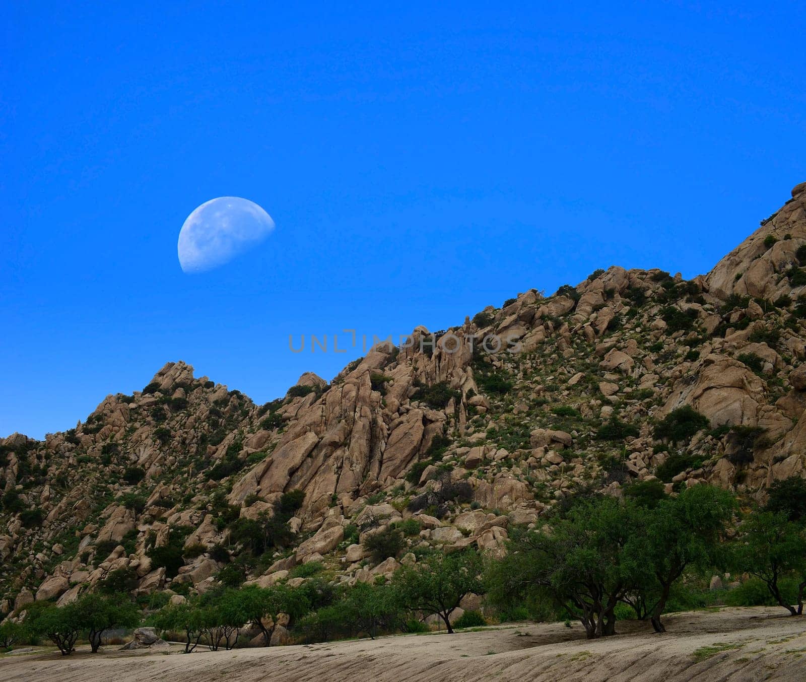 Desert moon over the southwestern USA desert and mountains