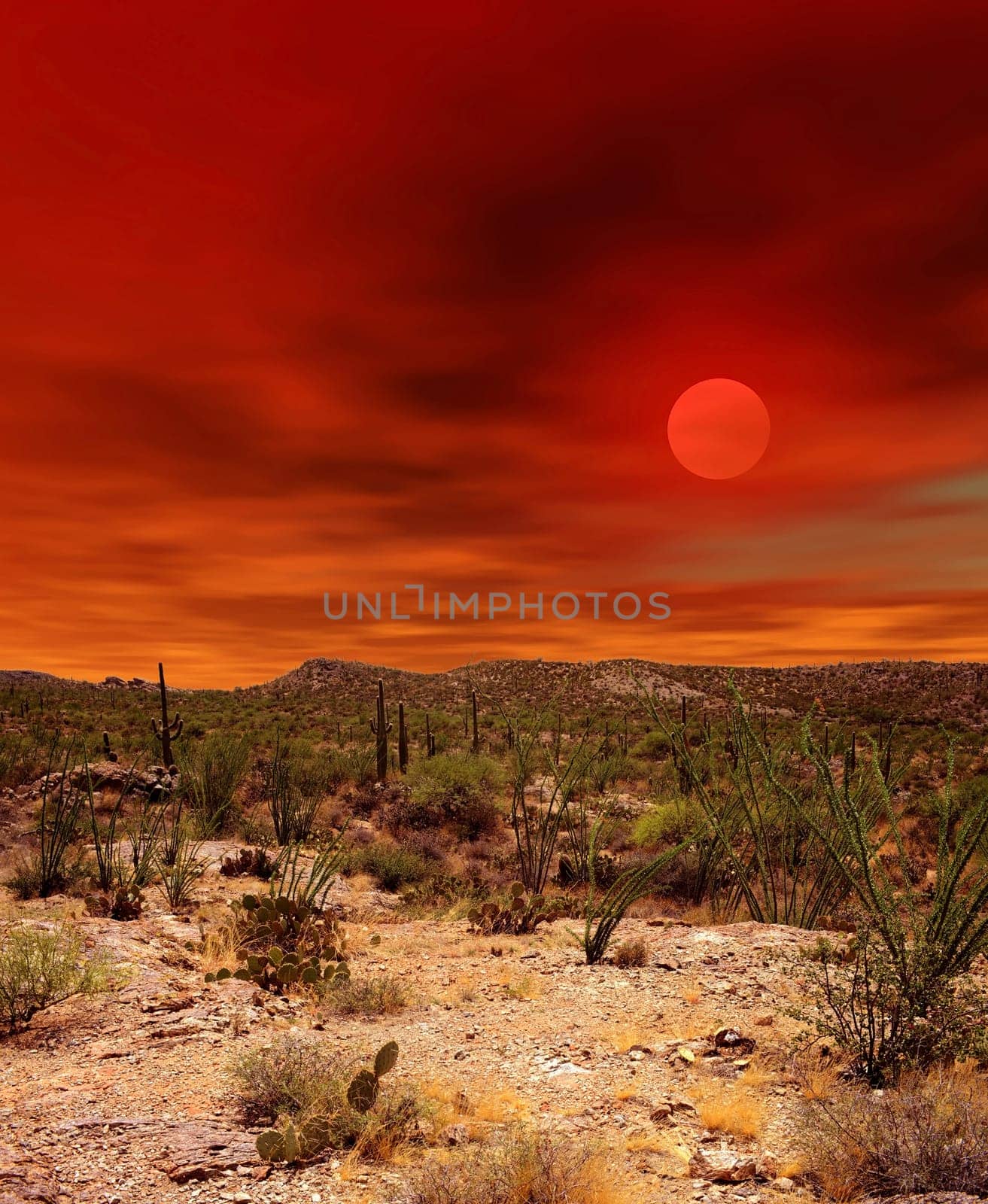 Sunset and boulder chain in the Sonora desert in central Arizona USA