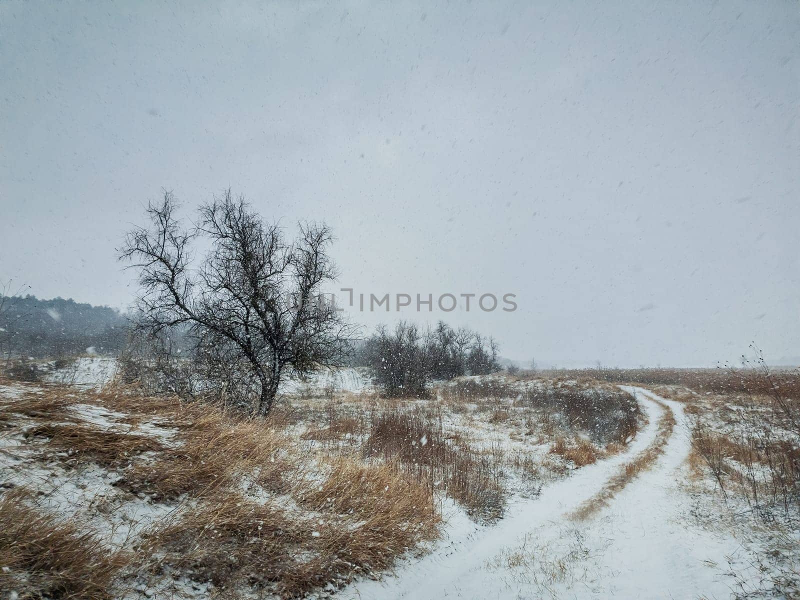 Cold winter weather with fluffy snowflakes falling on a country road among a dry nature field. Tranquil environment with heavy snow and blizzard..