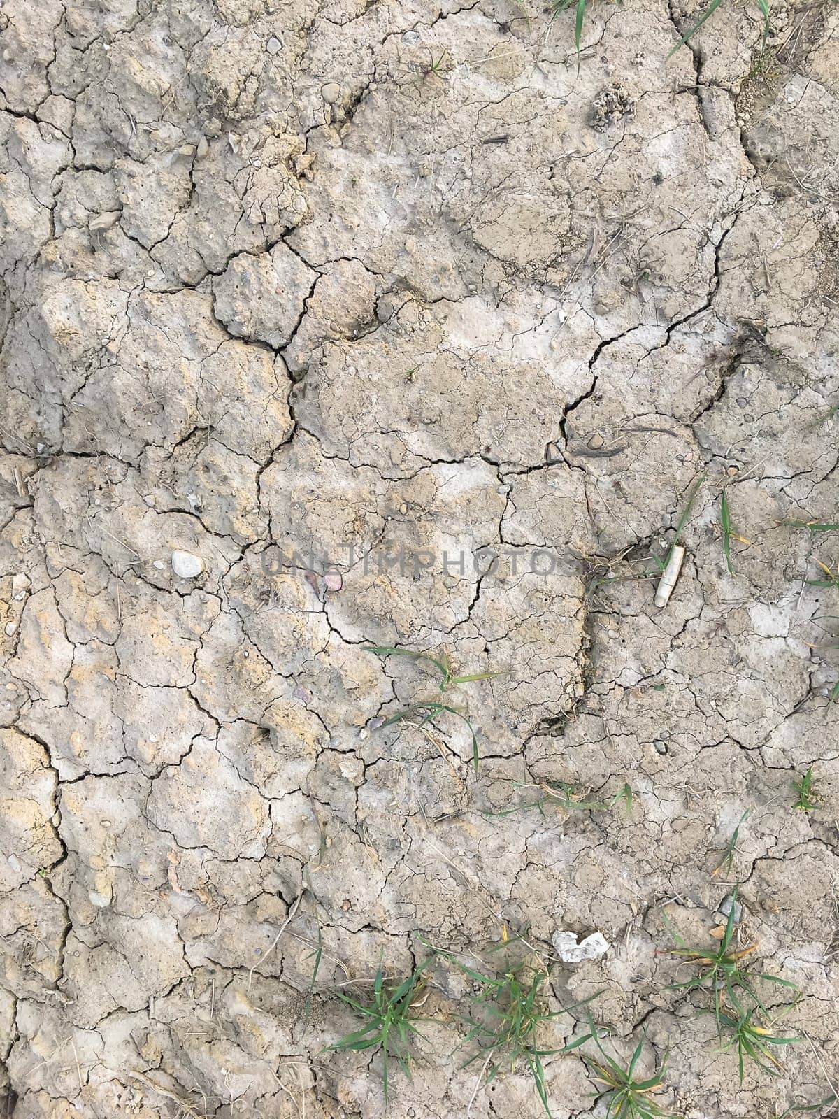 Crack soil on dry season, Global warming effect.