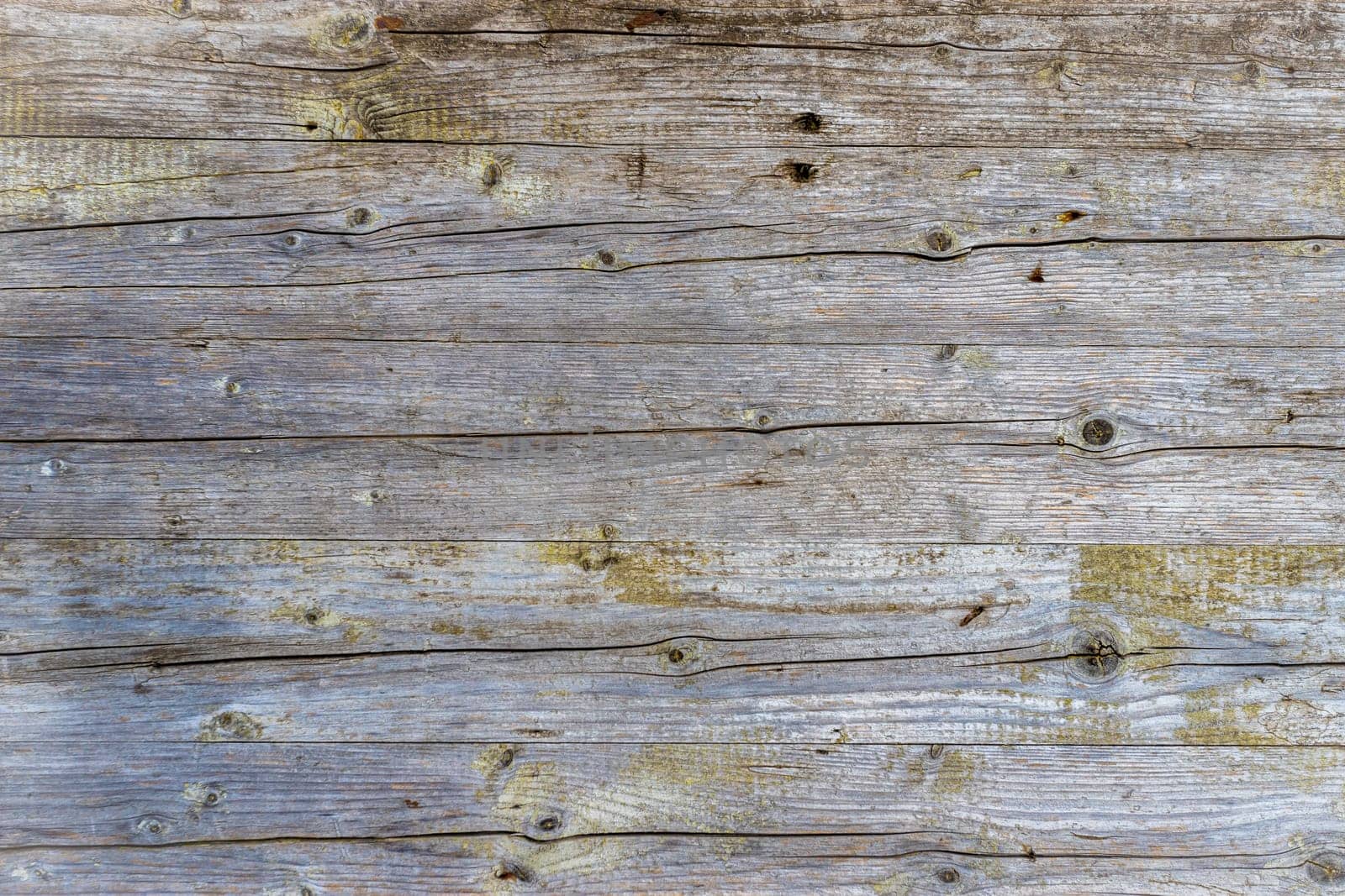 Old grunge wood with peeling paint. Vintage texture.