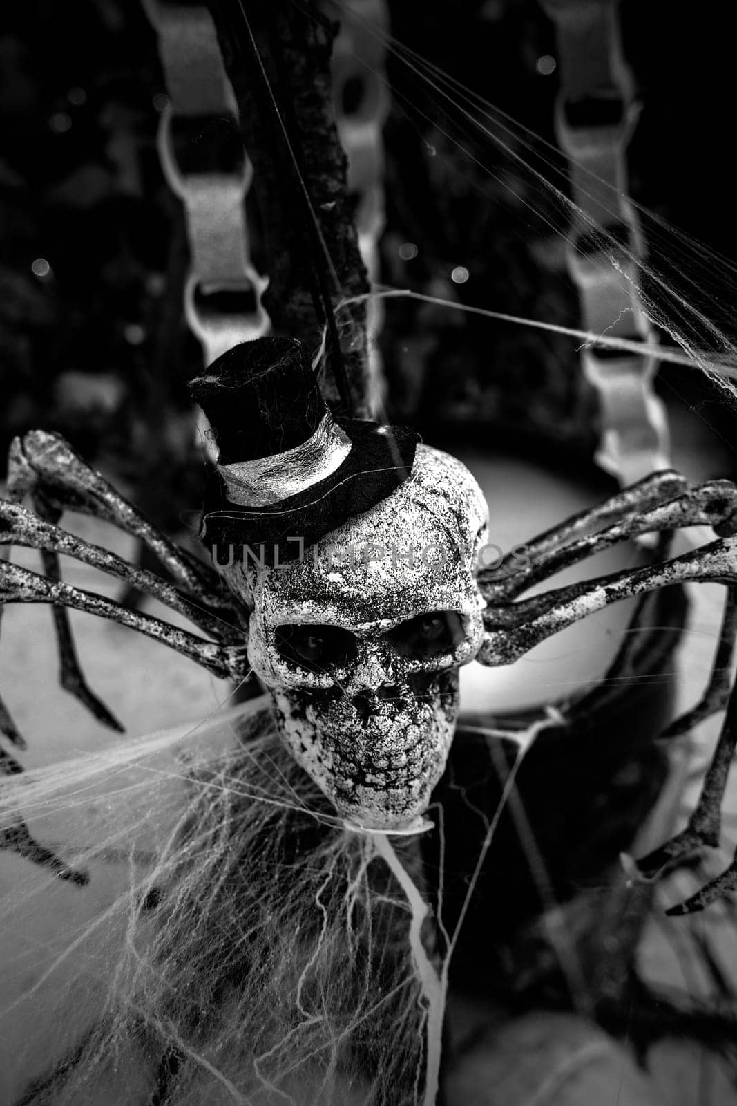 Skulls and spider, gloomy decoration, fear and demon