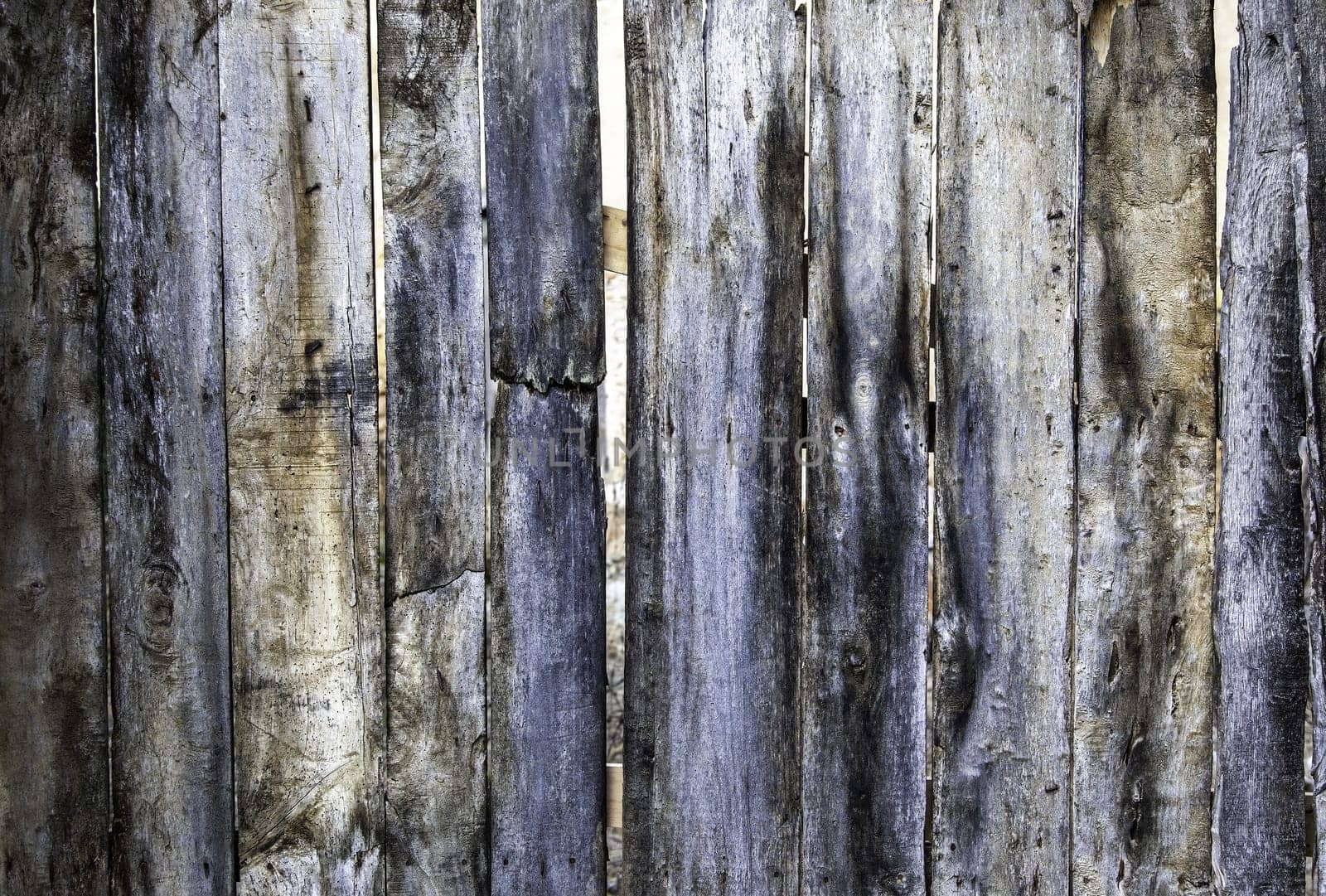 Detail of wall lined with wooden boards, decoration