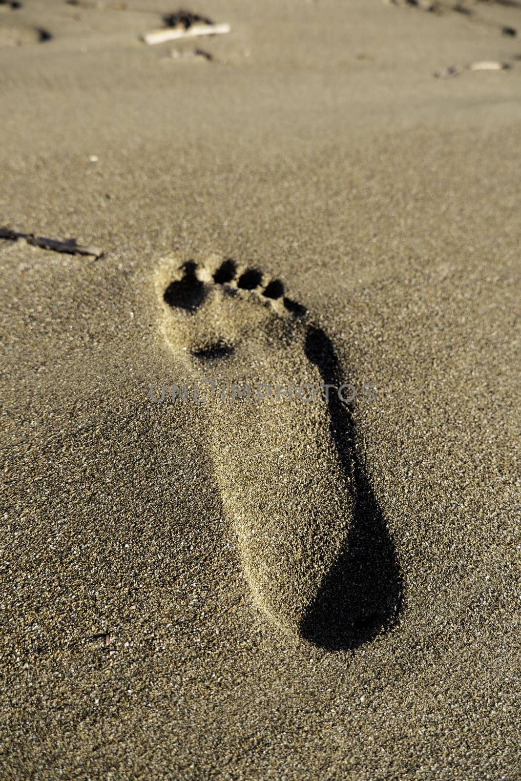 Detail of footprints on a beach in summer, walk on vacation