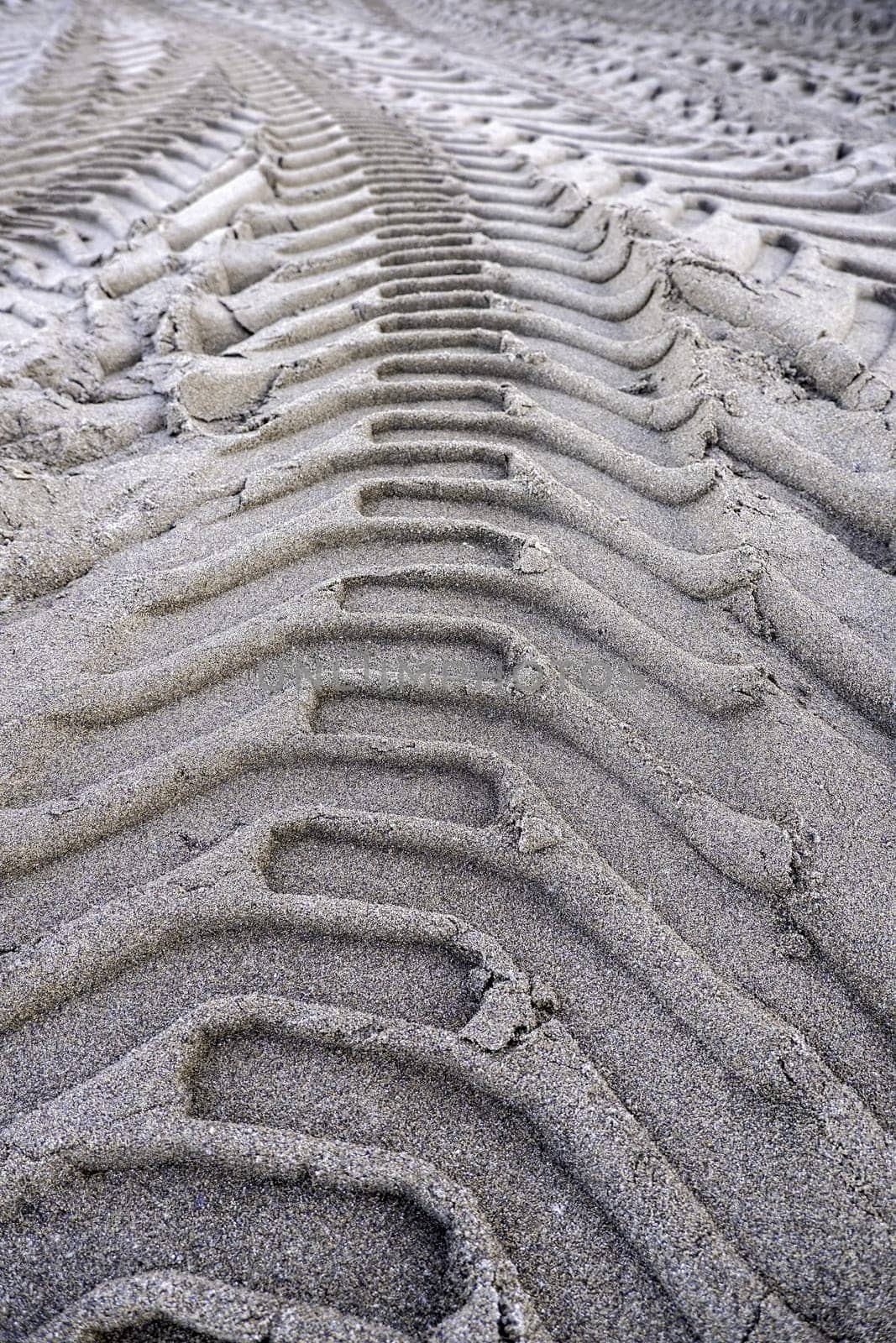 Tire signs on the beach sand, vehicle markings