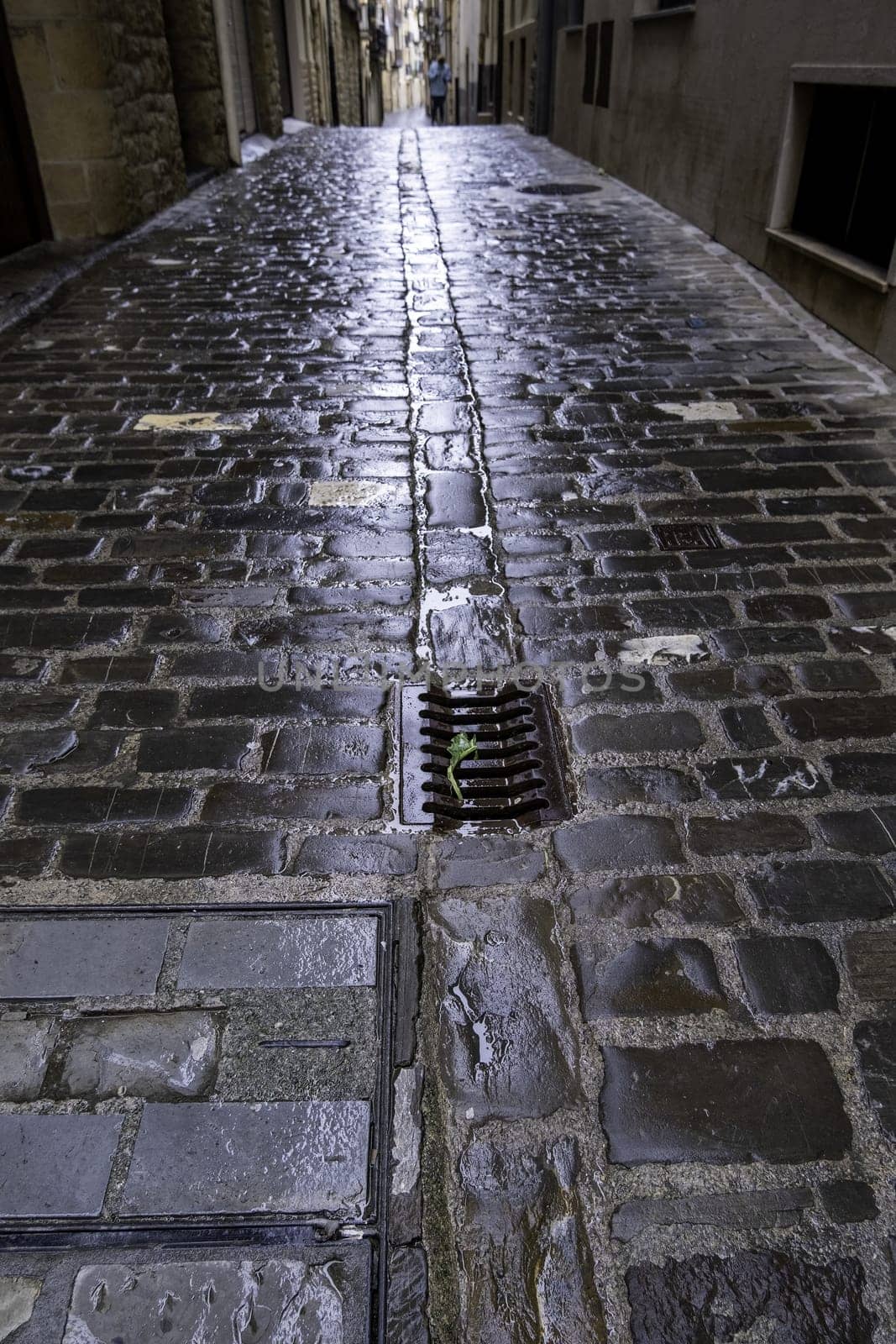 Wet stone street in old town, construction and architecture