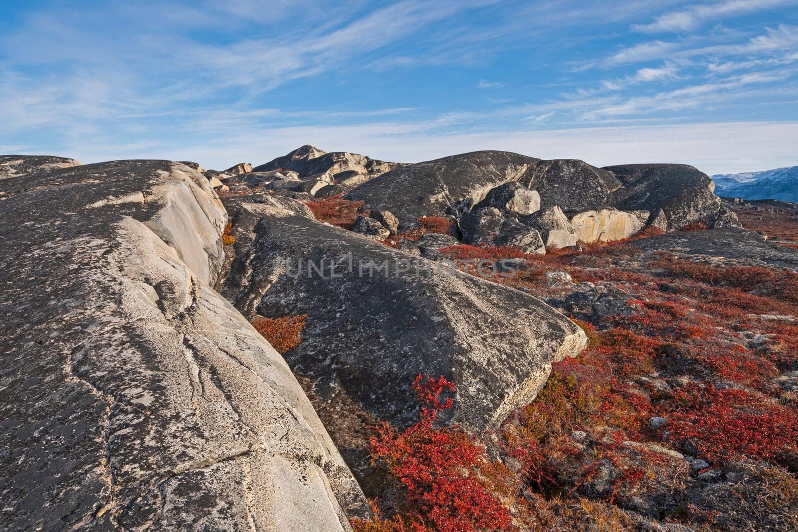 Bare Rock and Fall Colors in the Arctic Near Eqip Sermia in Greenland