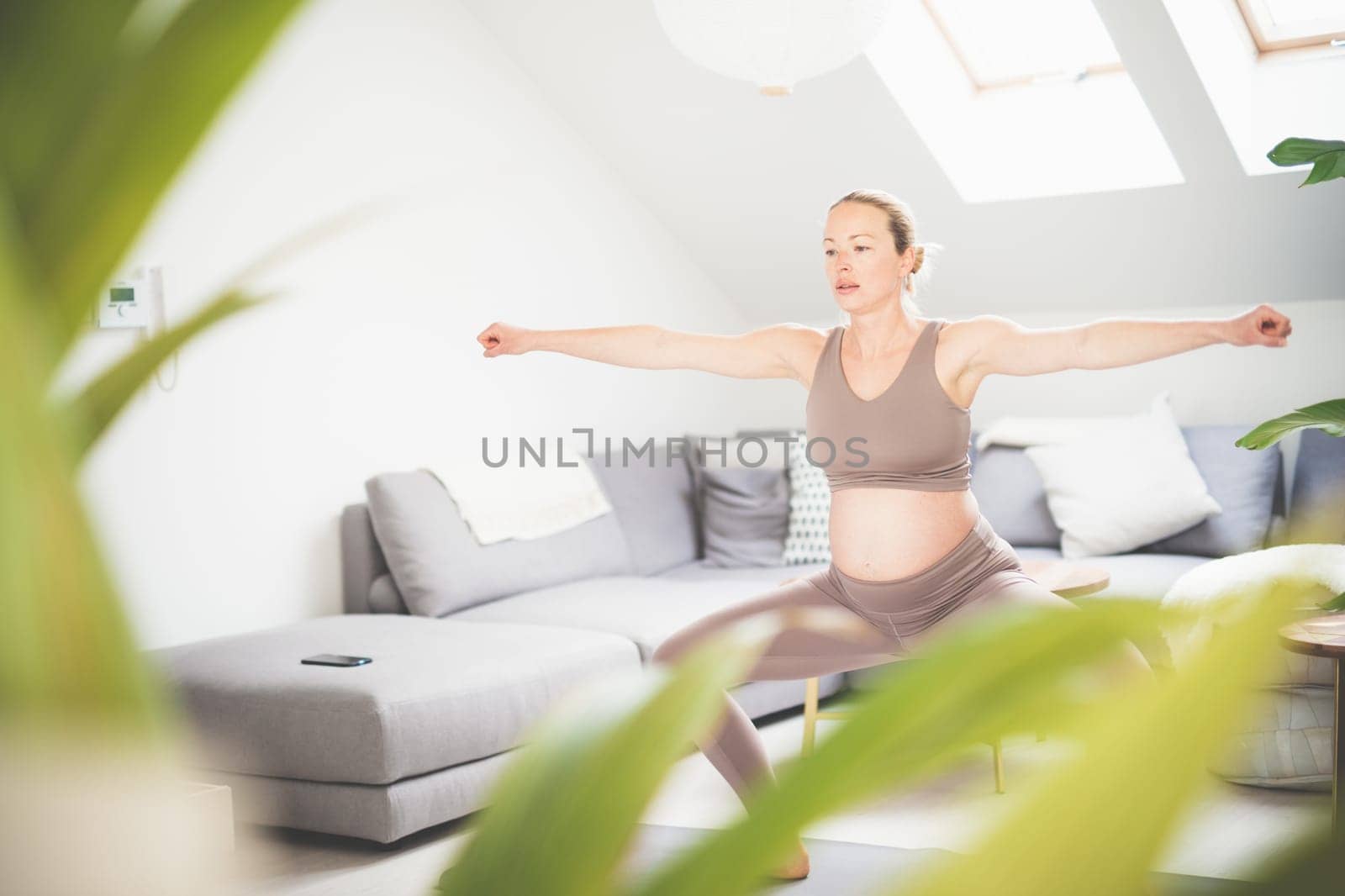 Young beautiful pregnant woman training pilates at home in her living room. Healthy lifestyle and active pregnancy and motherhood concept
