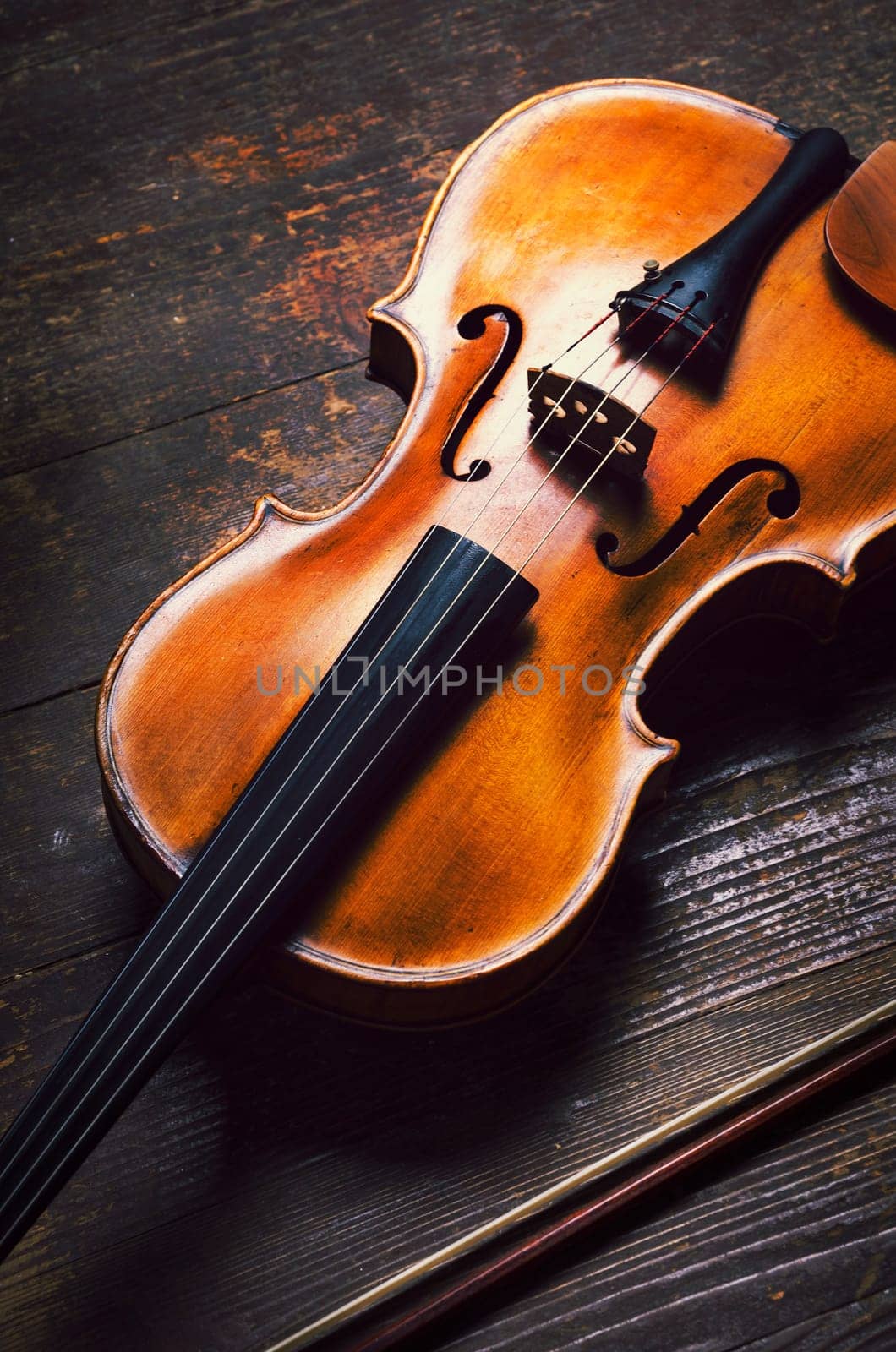 Viola on rustic wooden background