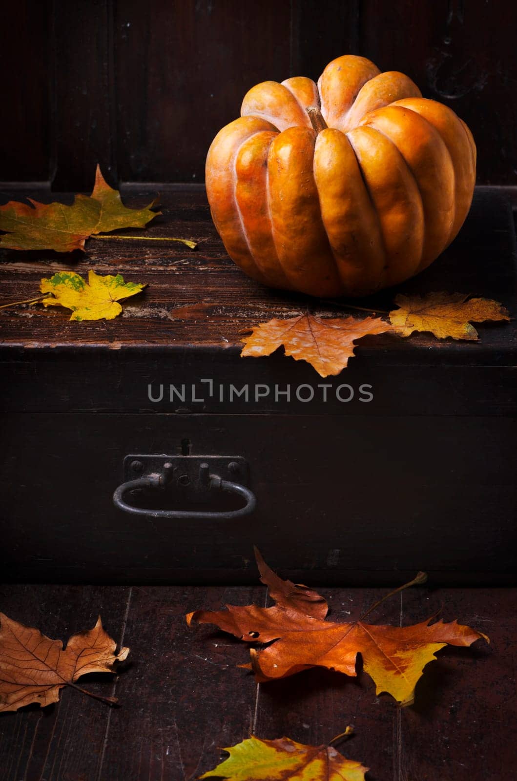 Halloween pumpkin and maple leaves