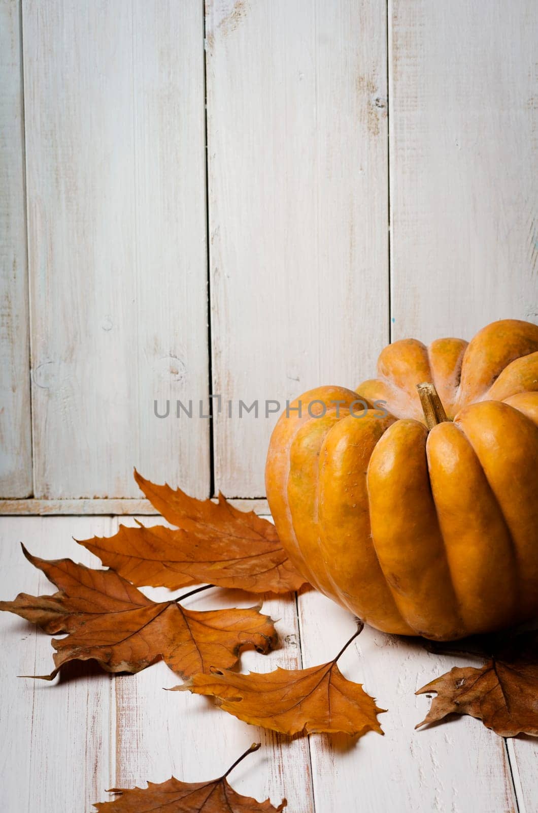 Pumpkin and maple leaves on white wooden background