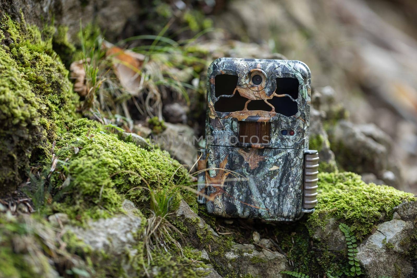 Camouflaged trail camera standing on a moss covered rocks in nature. Wildlife monitoring device with and infrared illumination and PIR motion sensor hidden in forest.
