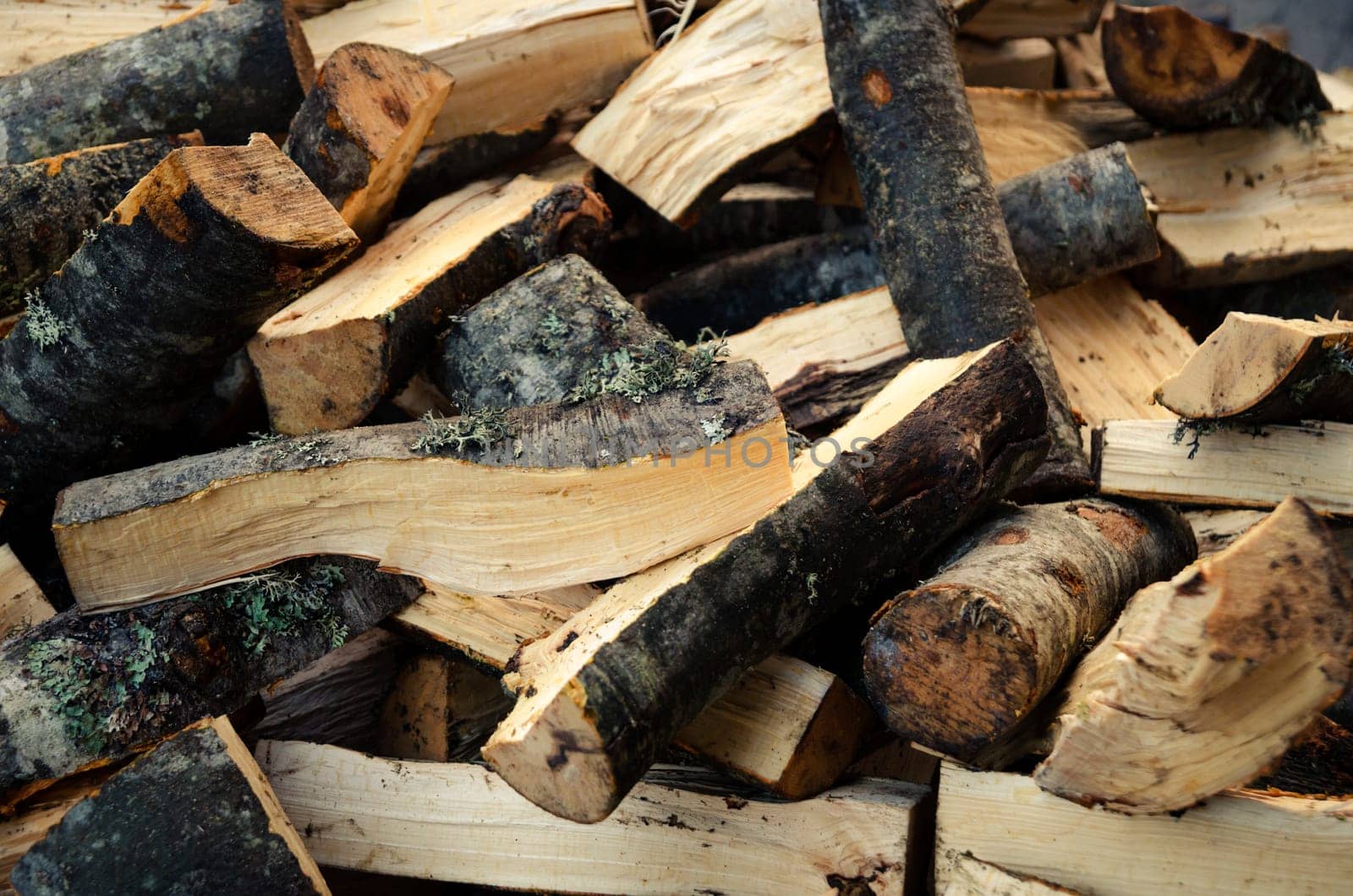 Stack of fire wood in the backyard