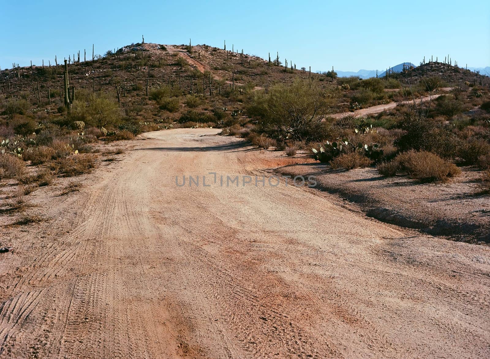 Dirt road leading off into the desert mountains