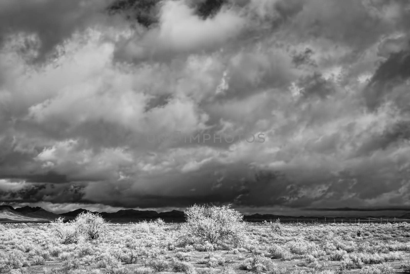 Sonora desert in Infrared central Arizona USA