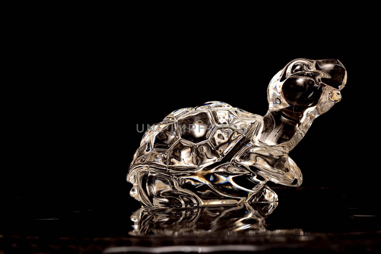 Crystal turtle isolated over a black background