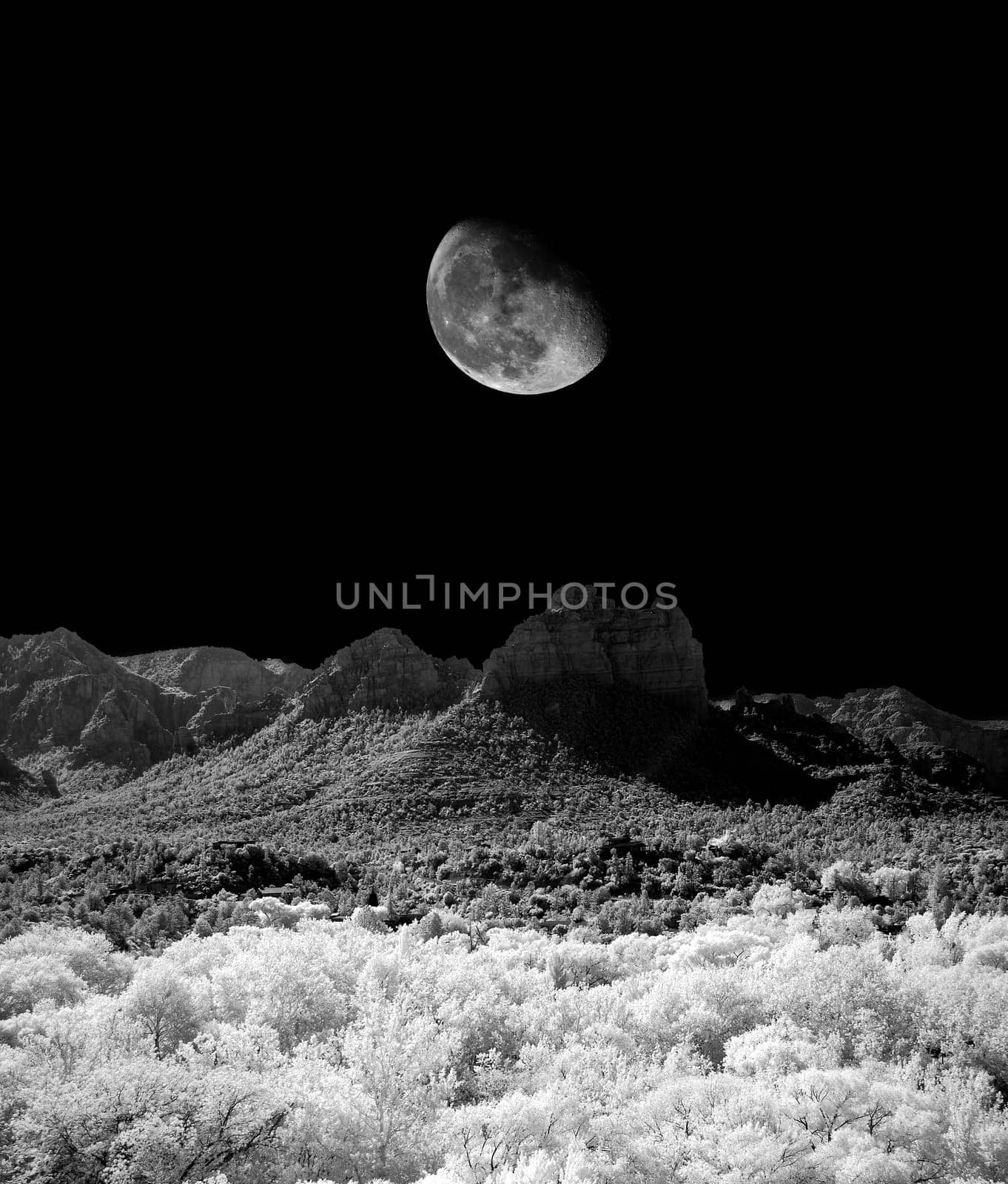 Desert moon over the southwestern USA Sonora desert and mountains