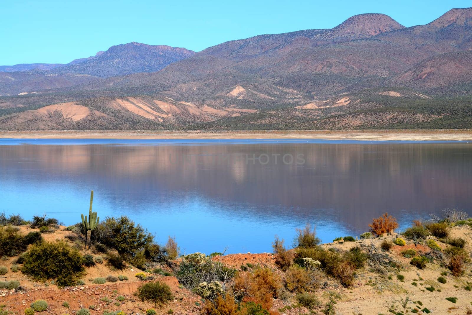 Mountain and reflections of Mountain in Roosevelt lake Central Arizona
