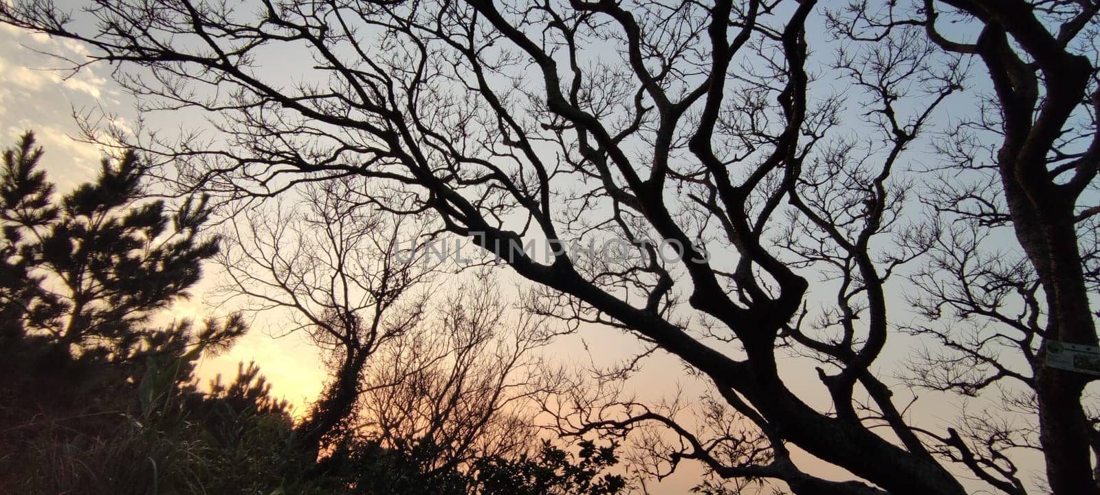 The Sunset in Taipingling Trail in the New Taipei City, Taiwan