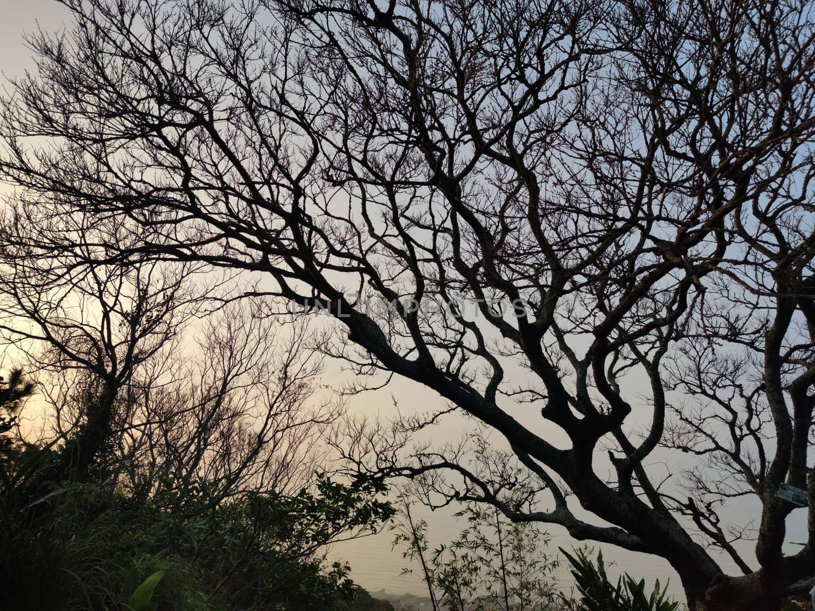 The Sunset in Taipingling Trail in the New Taipei City, Taiwan