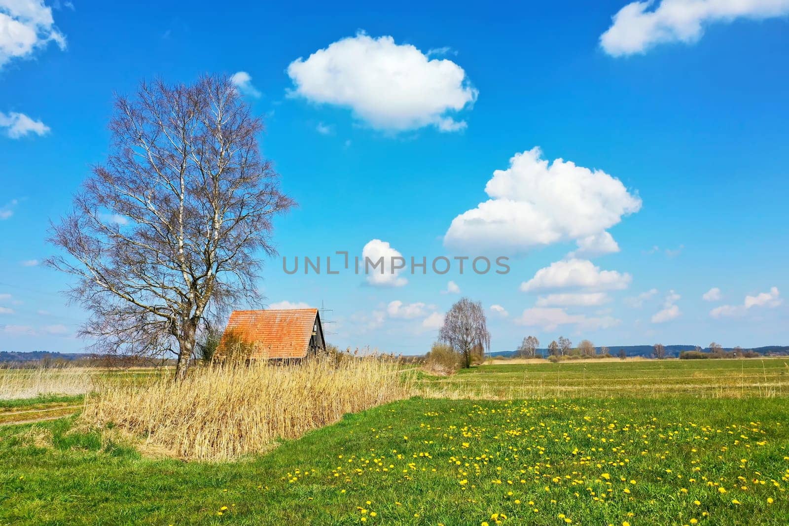 Agricultural hut on a dirt road