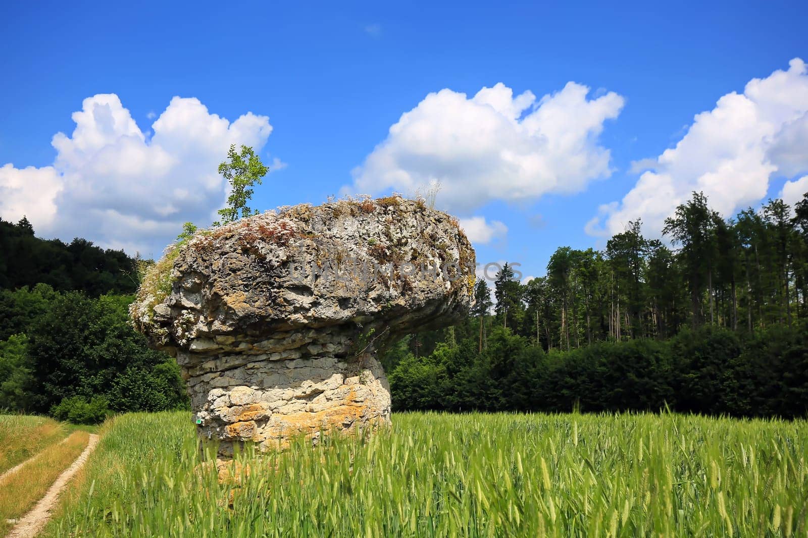 The Hoodoo Rock of Wohlmuthshüll