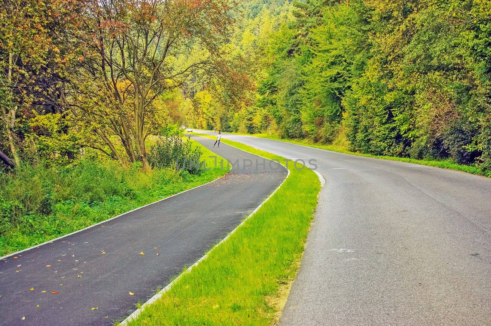 Road with a pedestrian walkway