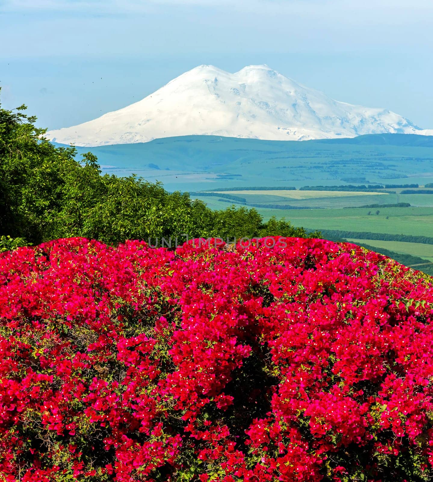 Mount Elbrus - the highest peak in Europe.