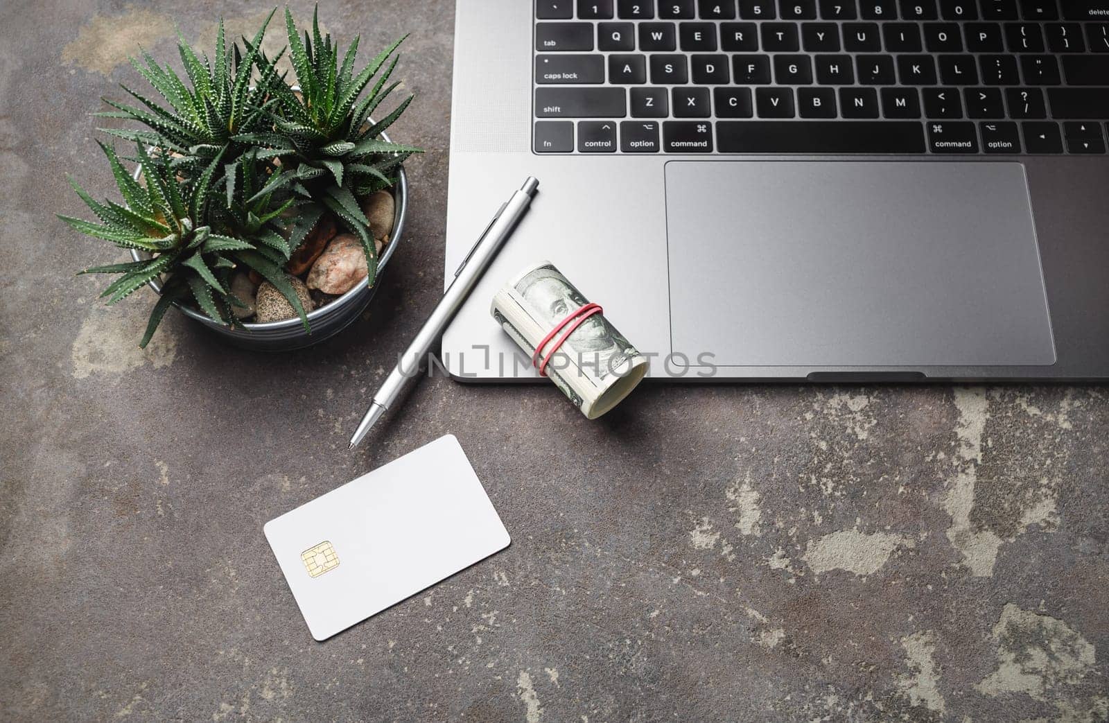 Online internet shopping concept. Laptop, dollars, credit card, pen and succulent plant on concrete background.