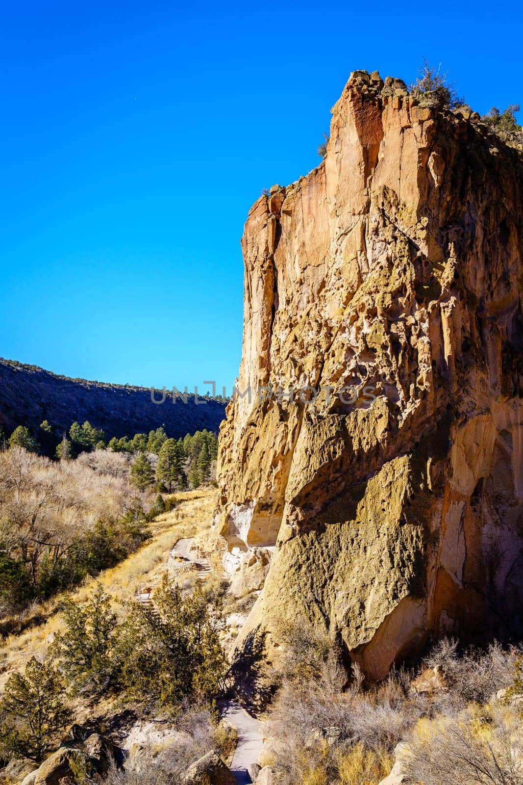 A view of the main cliff and Frijoles Canyon in Bandelier National Monument in New Mexico