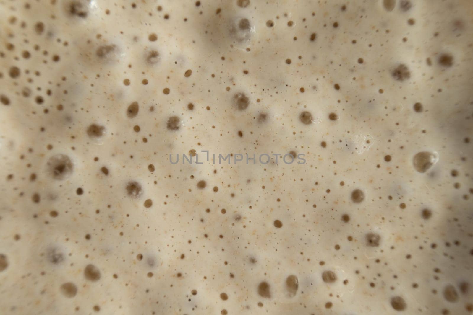Active and bubbly sourdough starter for bread making