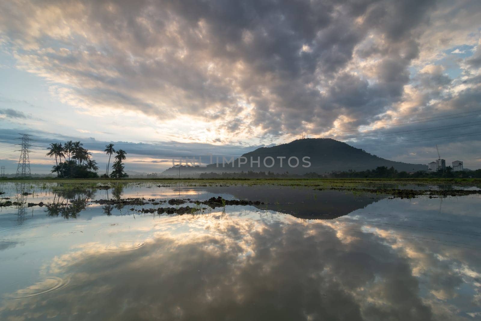 Reflection of sunrise near the coconut and hill