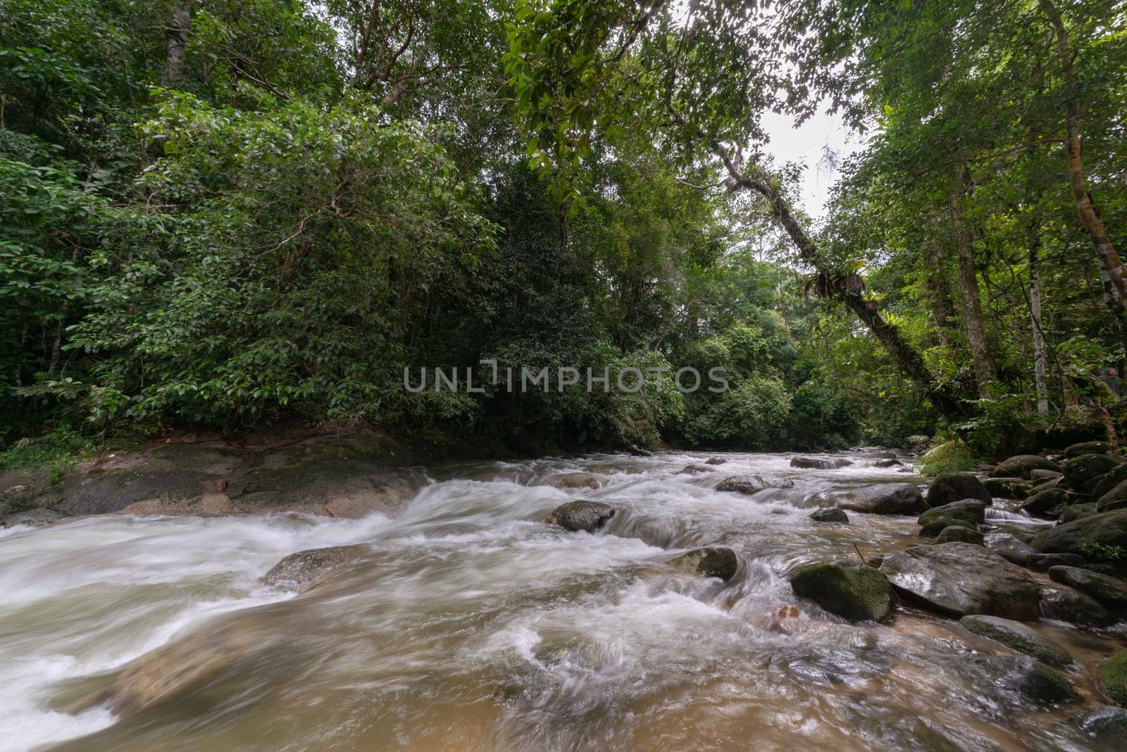 Beautiful water fall cascade at Malaysia rainforest