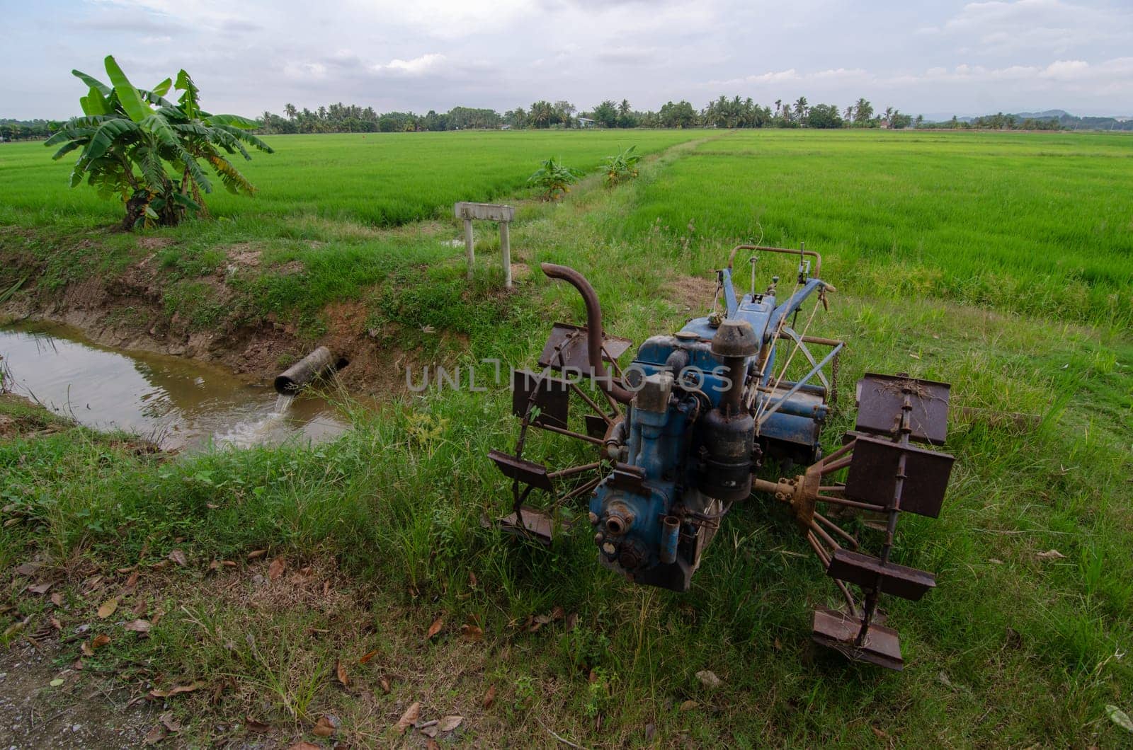 Walking tractor used to plowing park at paddy field.