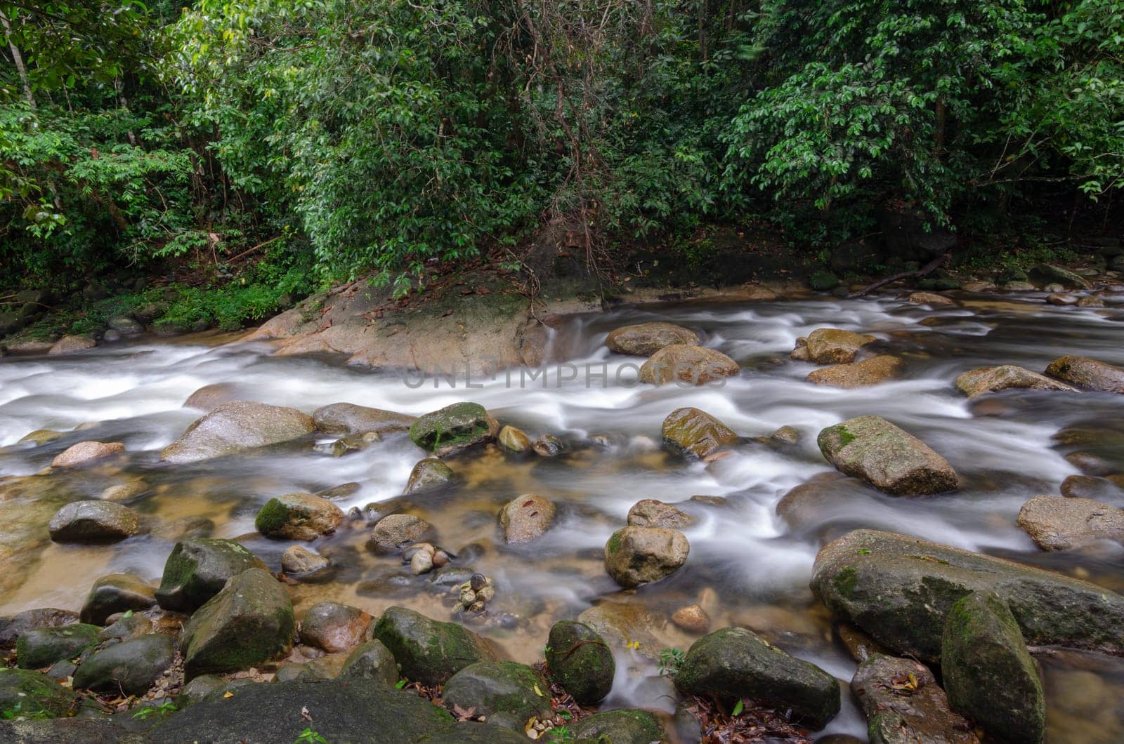 Waterfall river flow over rock at Sungai Sedim rainforest