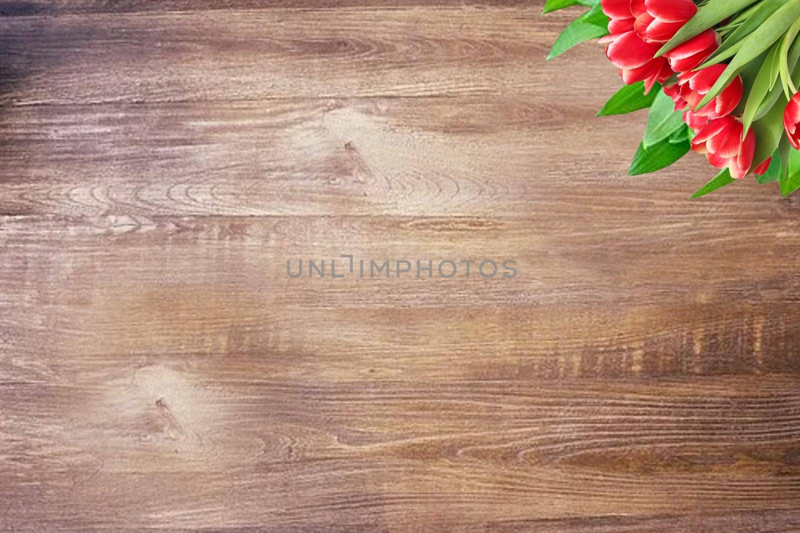 Colorful red tulips on rustic wooden table with copy space. Fresh spring flowers on planks. Greeting card. Valentine, birthday, mothers or wedding day.Top view.