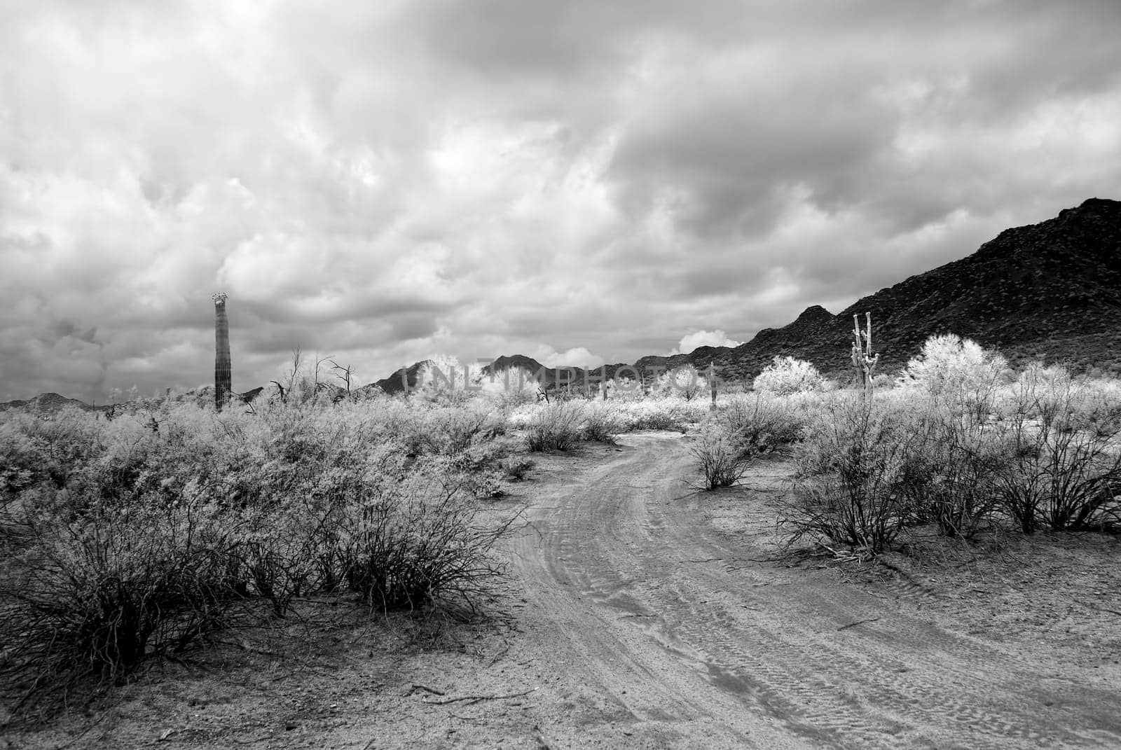 Infrared Dirt road leading off into the desert mountains