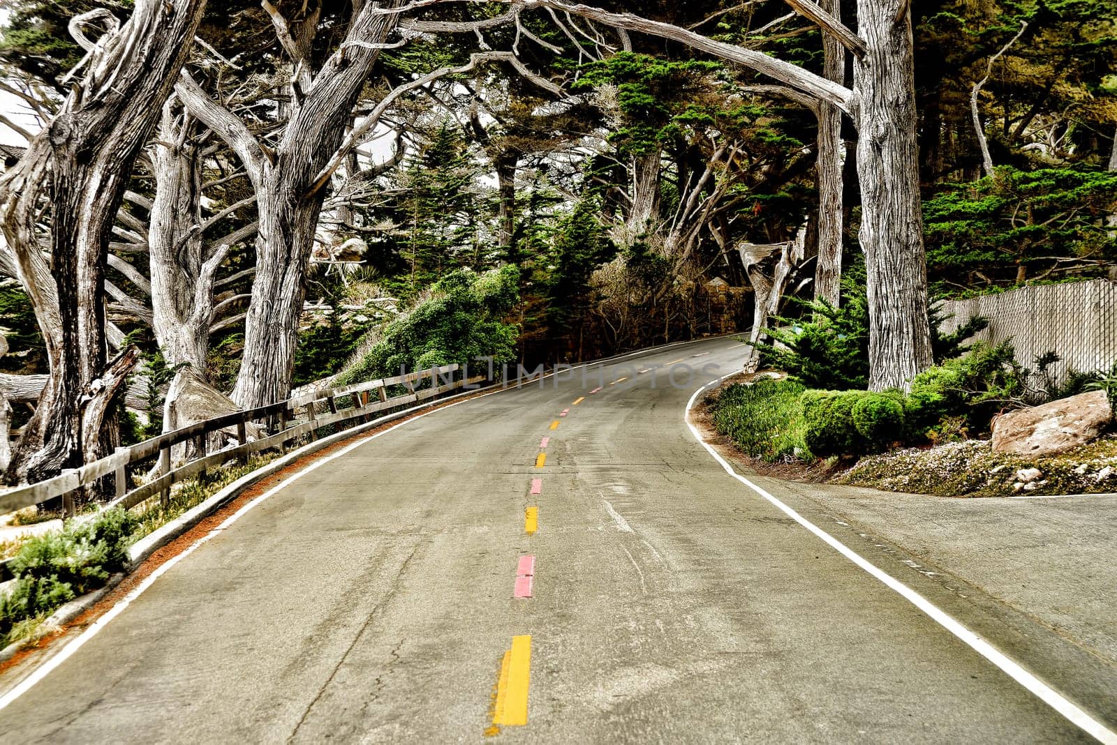 US Highway One in near Monterey northern California