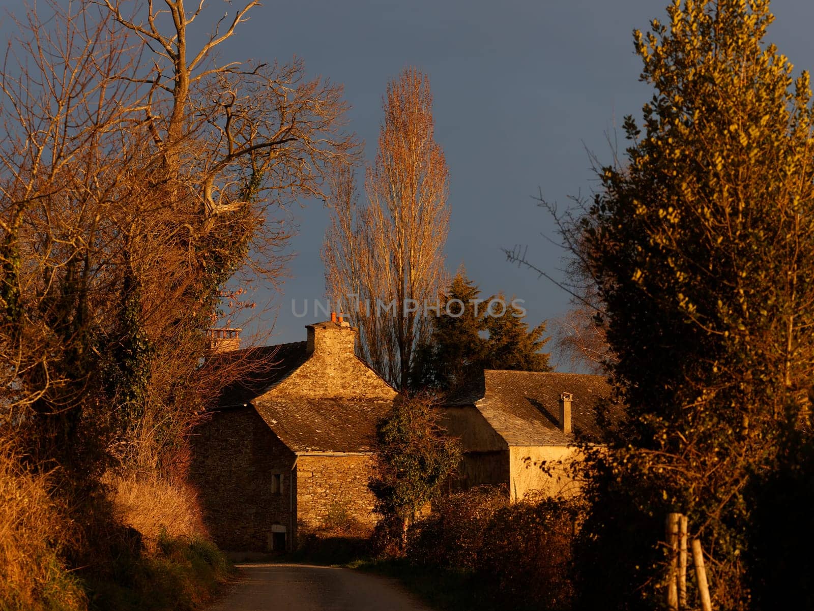 Old country house in sunlight with trees