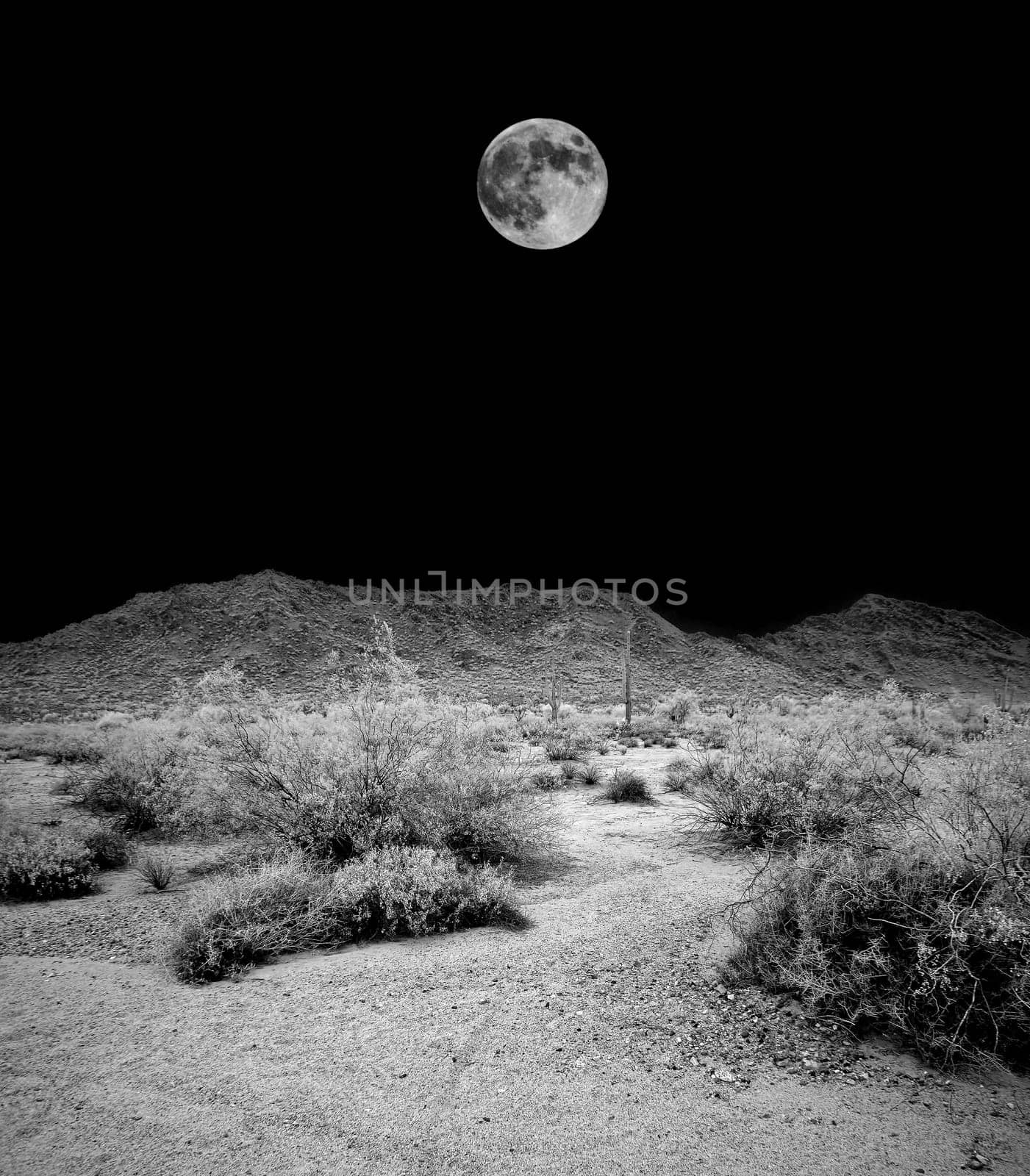 Desert moon over the southwestern USA Sonora desert and San Tan mountains
