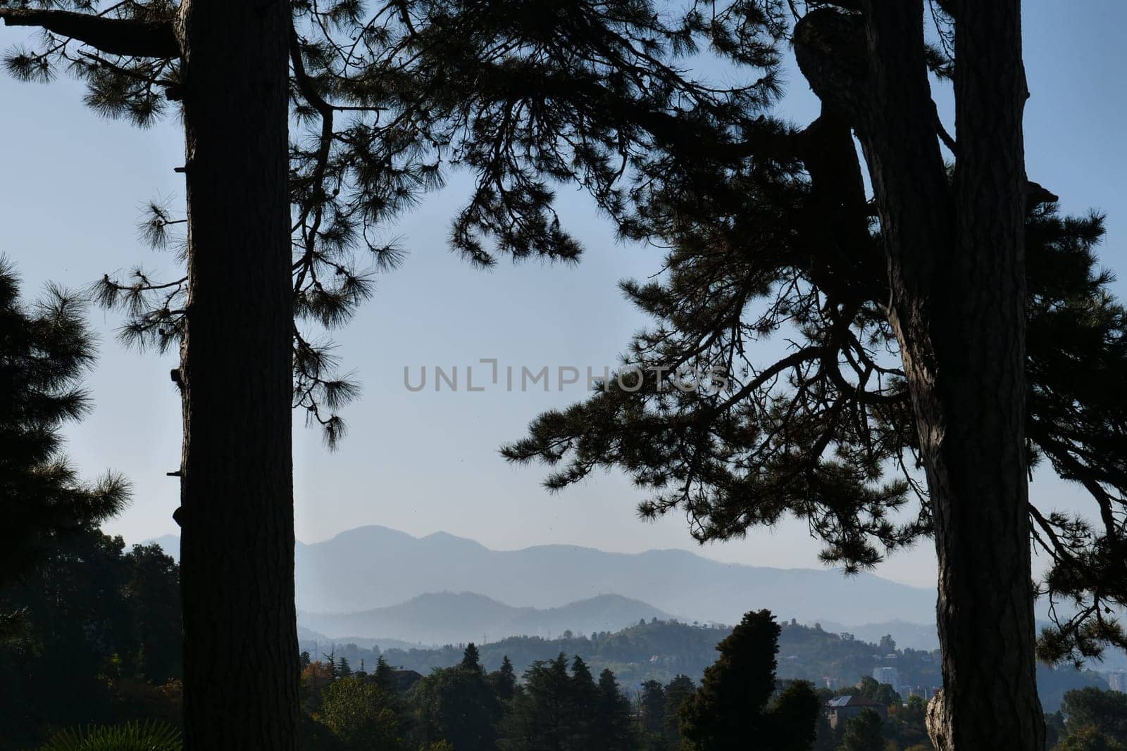 A sign on the side of a treeundefined