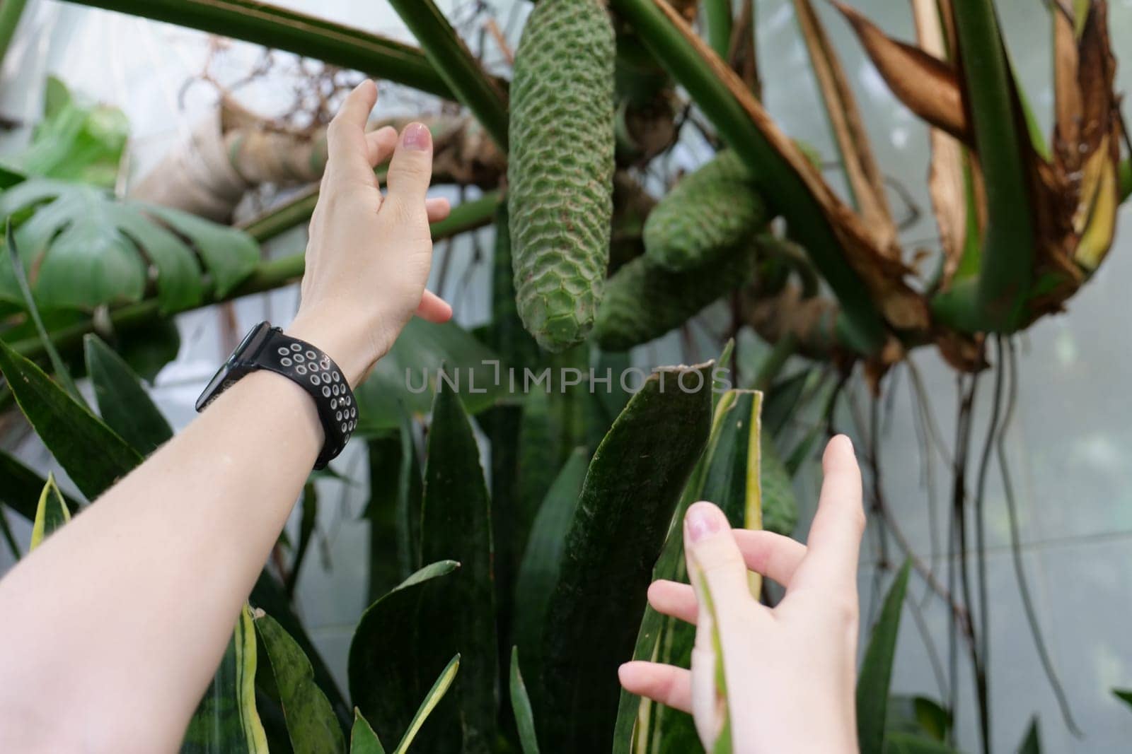 A hand holding a plantundefined