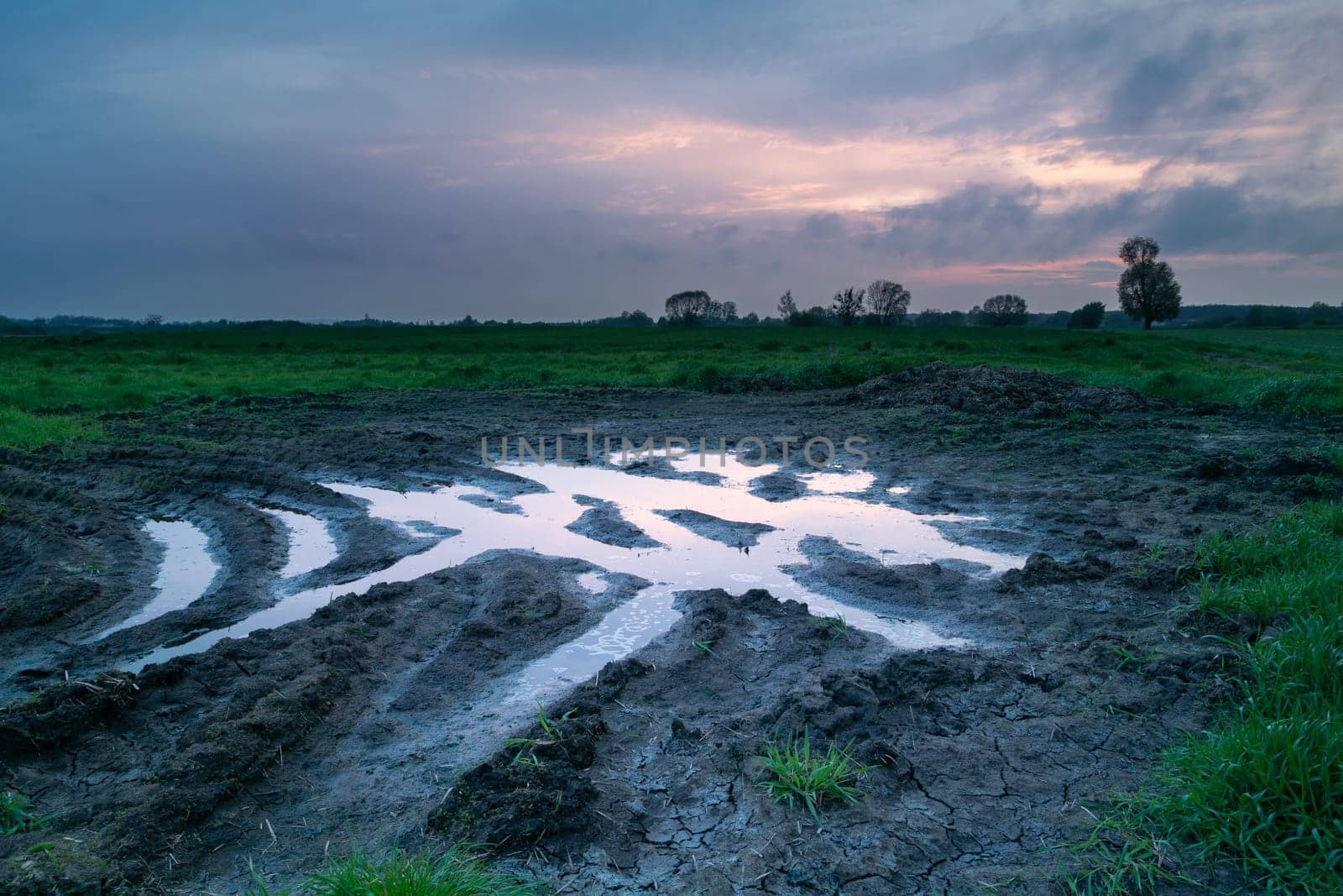 Water and mud on the meadow, Nowiny, Lubelskie, Poland