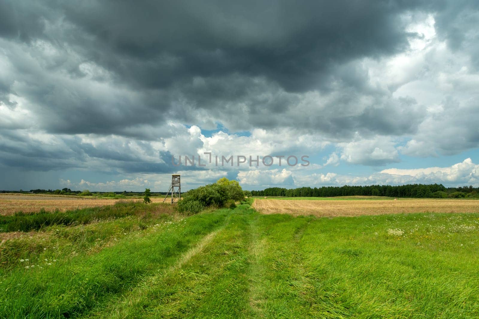 Dirt road through the fields and cloudy sky, Czulczyce, Lubelskie, Poland