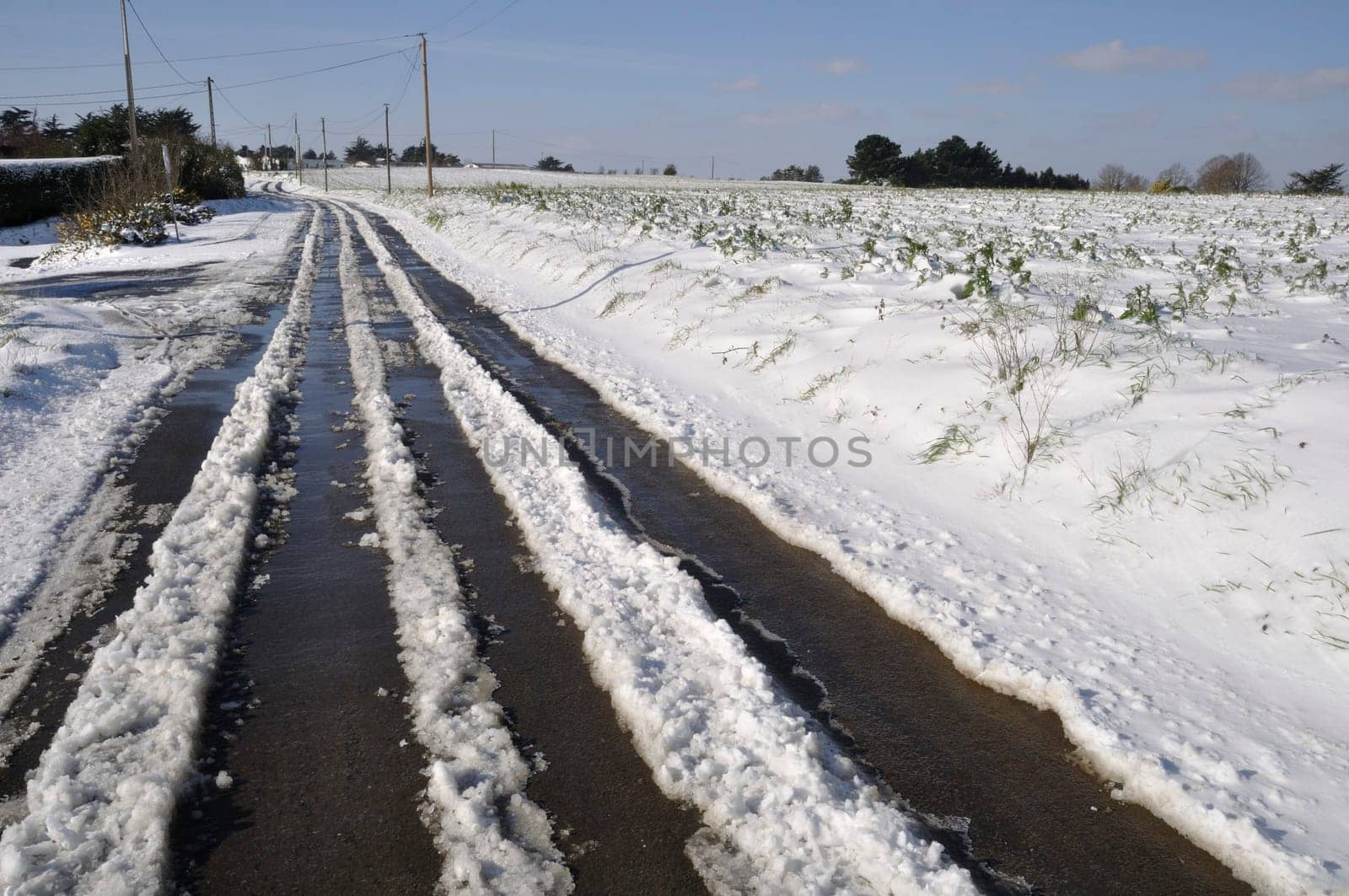 Path under the snow in Brittany