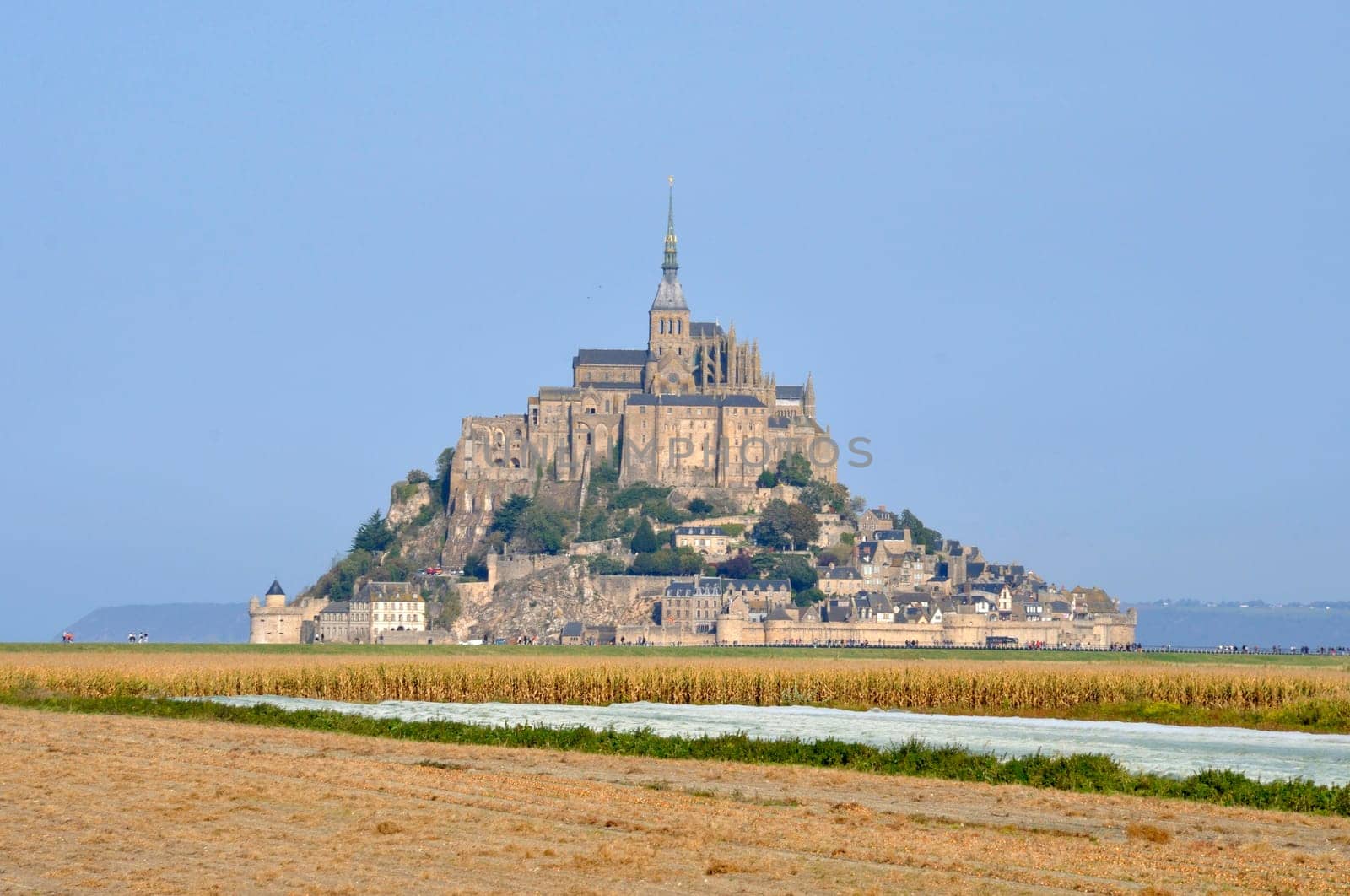 Mont Saint Michel and salt marshes