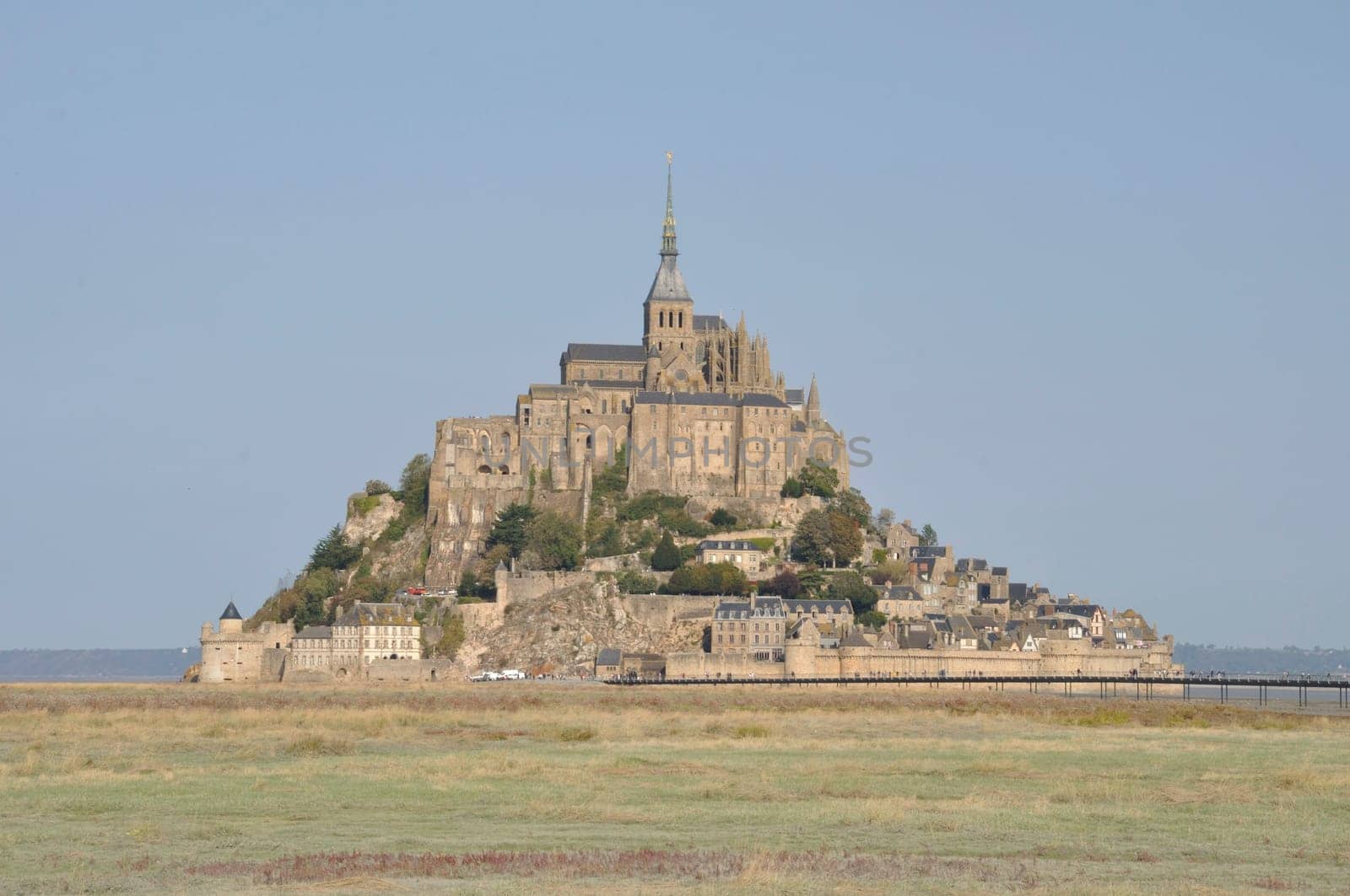 Mont Saint Michel and salt marshes
