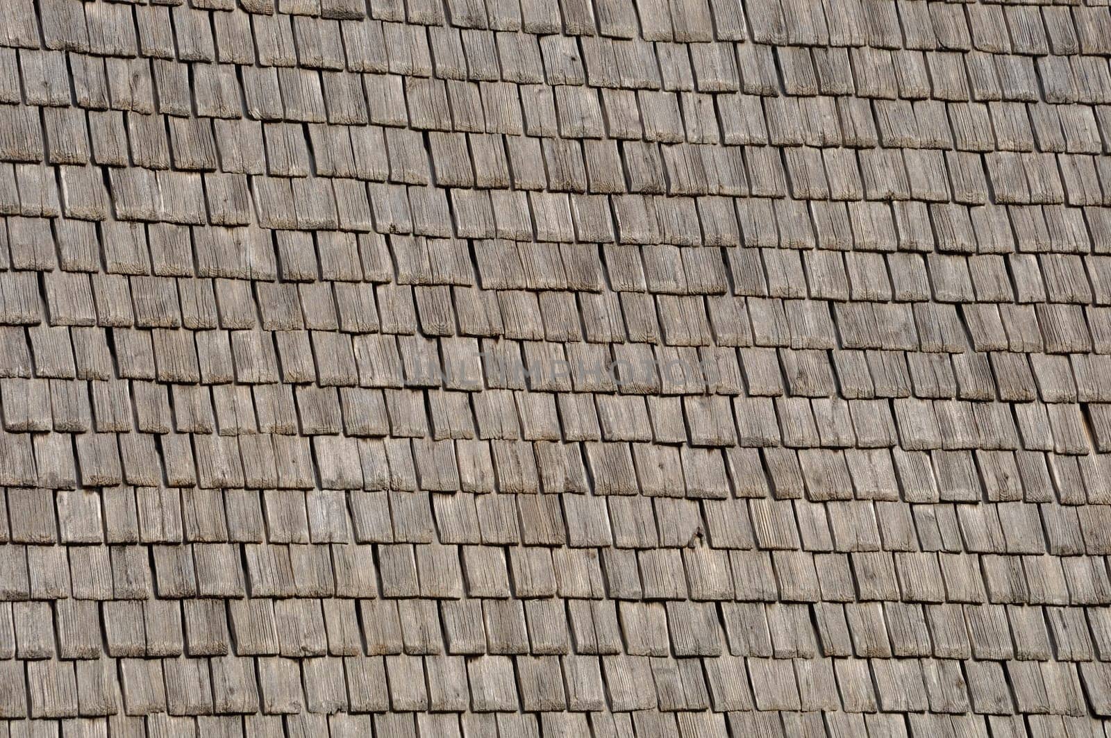 Mont Saint michel architectural wood roof